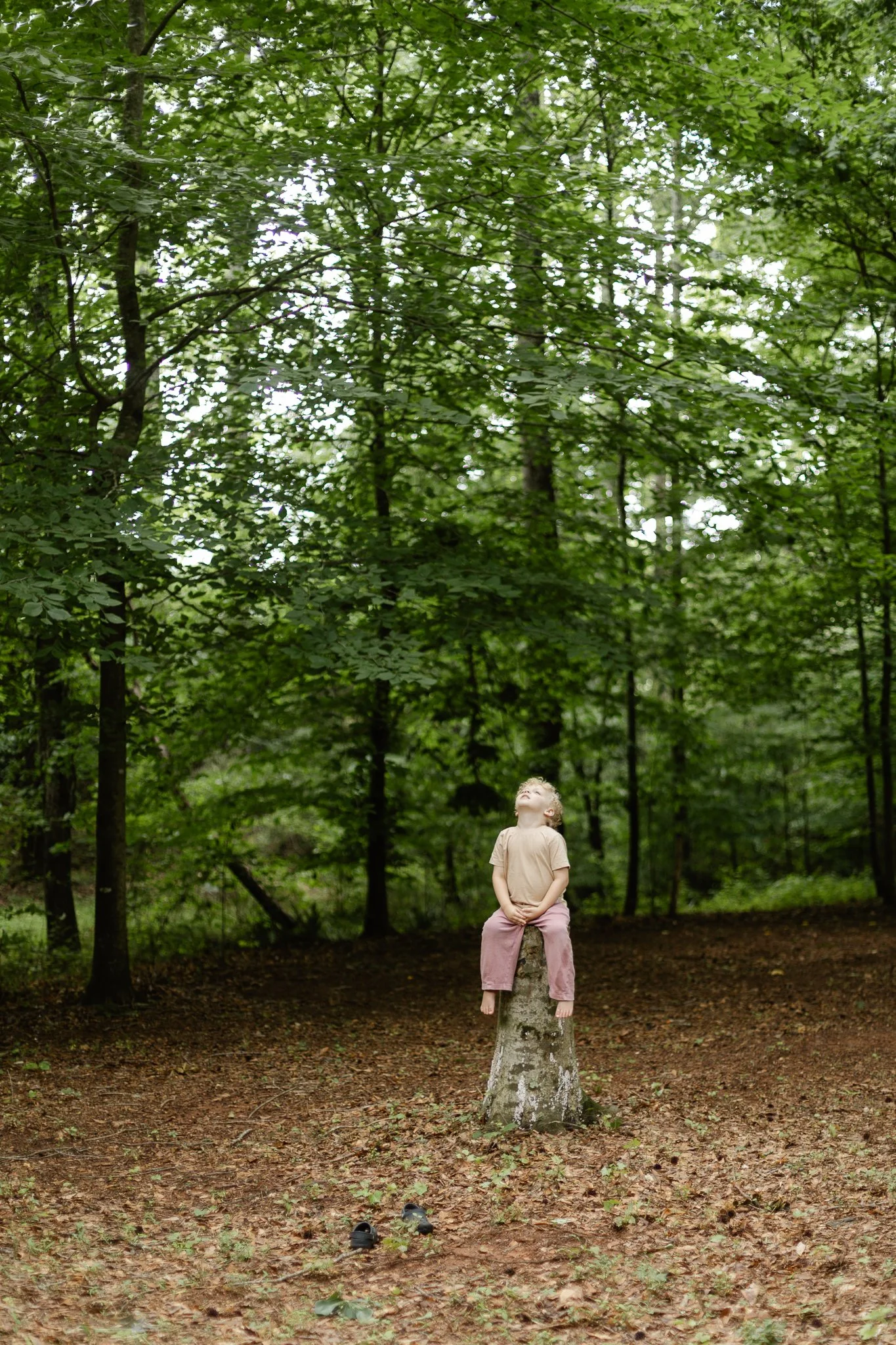 A Rainy Afternoon in the Woods | Photographing Childhood as It Really Is