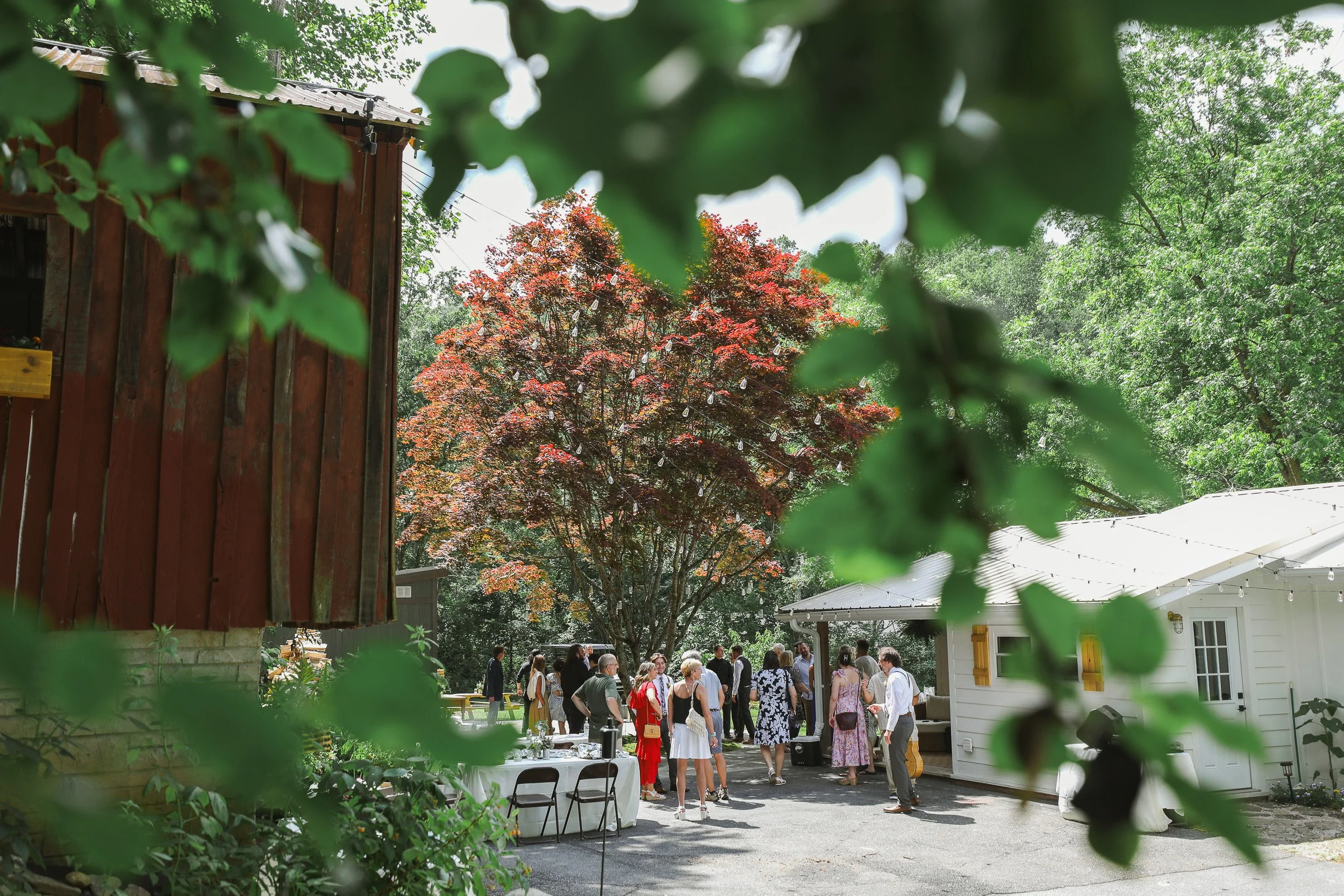 greenville-elopement-photographer-85.jpg