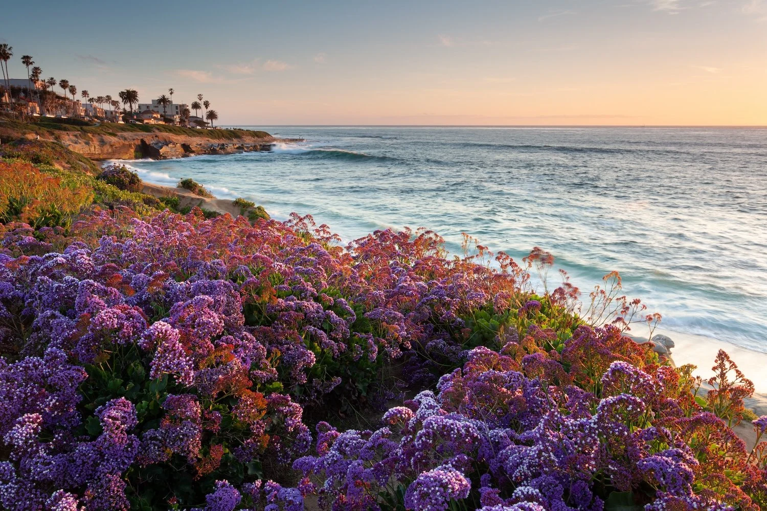 AdobeStock_331119785.jpeg