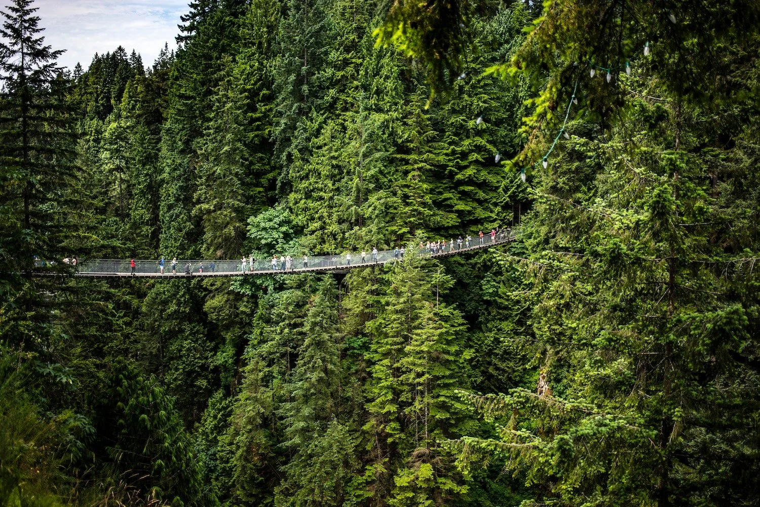 CAPILANO SUSPENSION_BRIDGE_VANCOUVER.jpeg