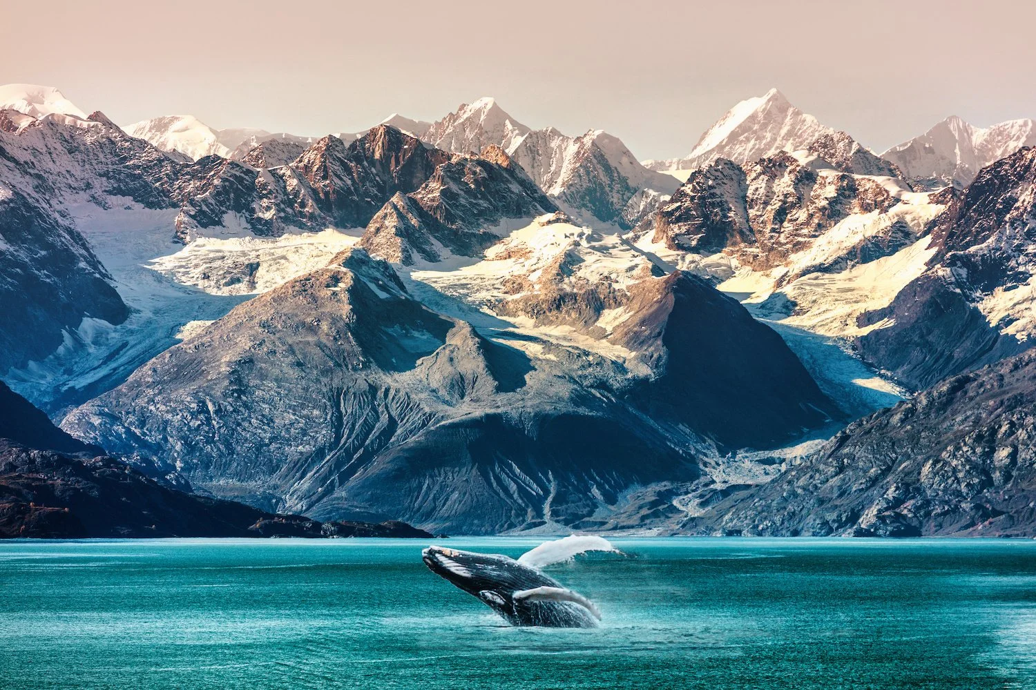 Alaskan Coast Line - Customized group travel adventures