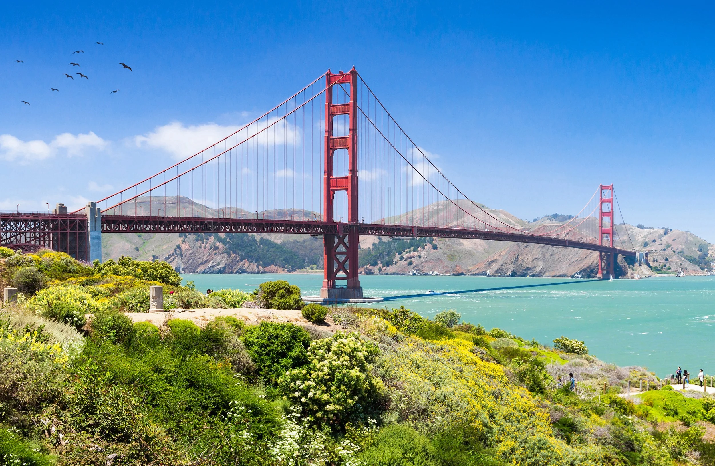 San Francisco - Custom group tour packages
