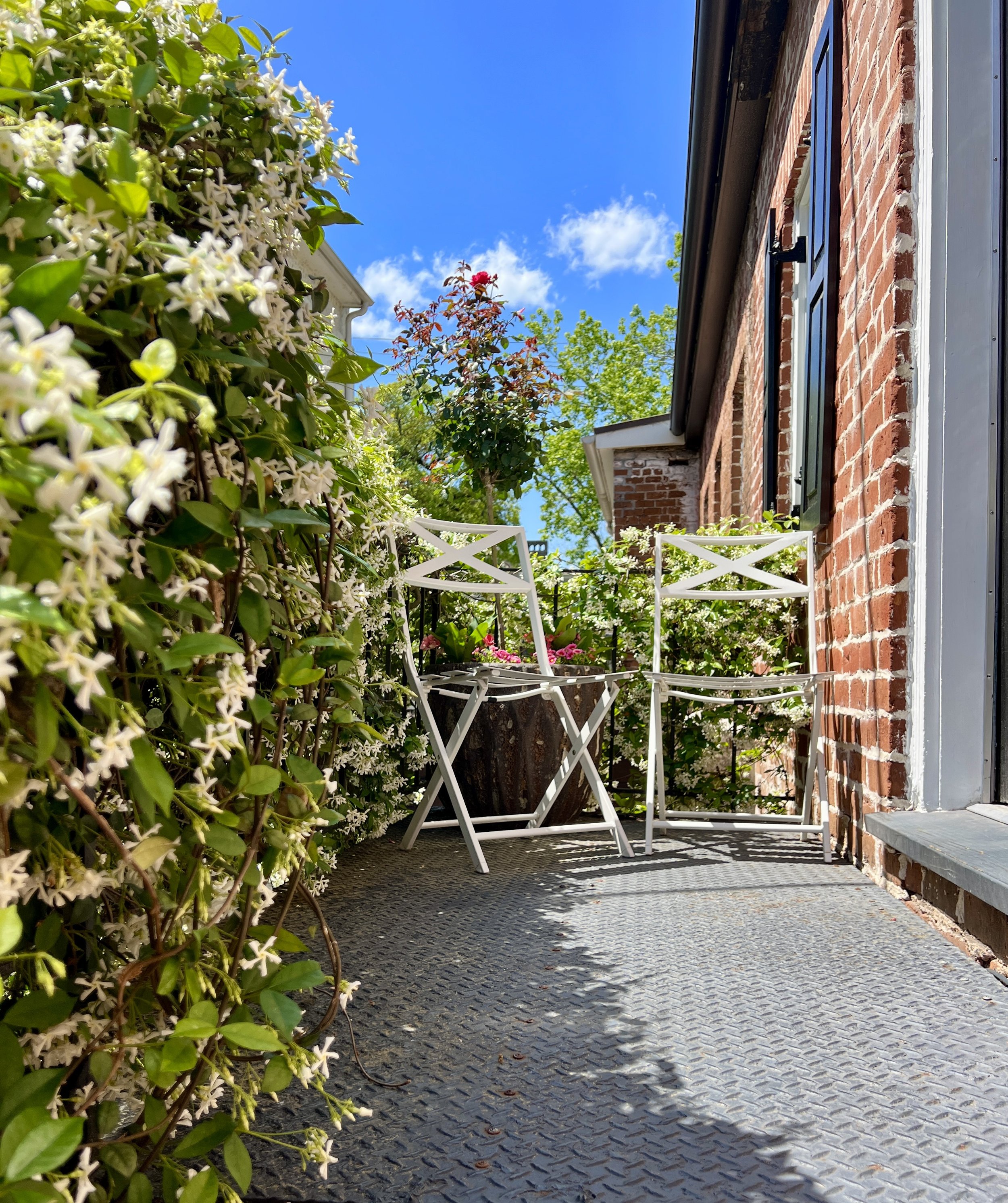Best Time to Visit Savannah: A Local’s Seasonal Guide