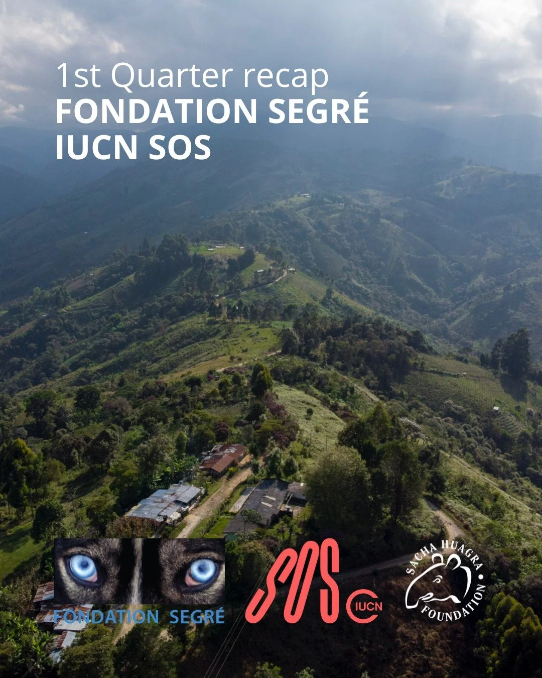 Over the past weeks, we've taken our first big steps in our project to strengthen community-led conservation in the Colombian Andes.

Together with our local partners, we&rsquo;ve held workshops, built trust, and begun creating the infrastructure nee