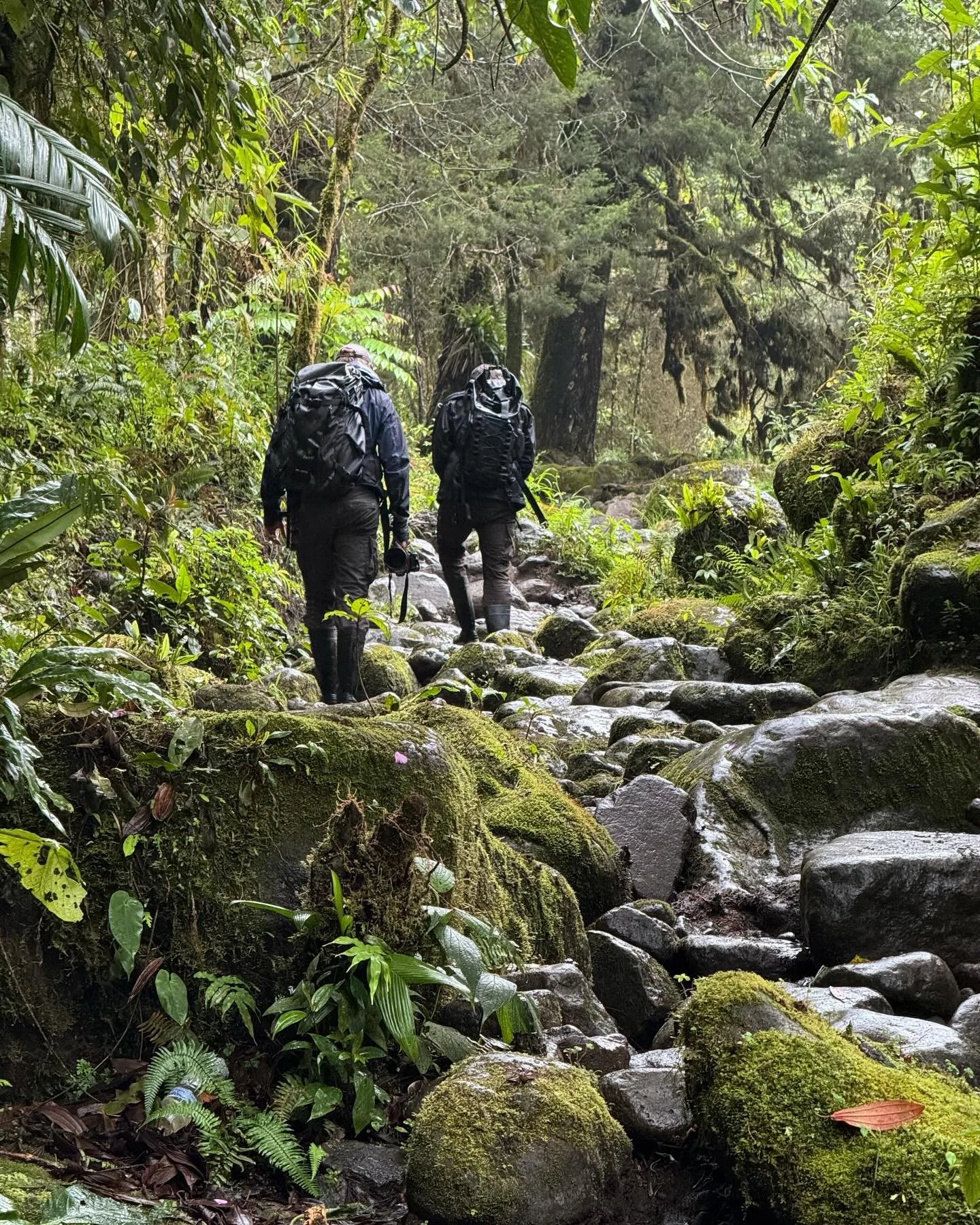 It&rsquo;s always great to look back at our adventures! 📸✨

Last November, we explored our research area in Huila, Colombia and met with local partners. Now, we&rsquo;re excited to be working on a new project to protect the Mountain Tapir&mdash;stay