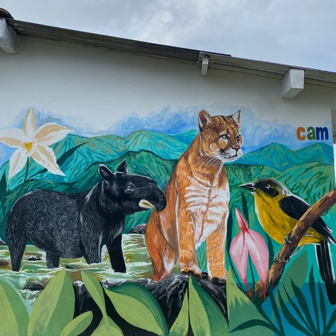 During our exploratory trip to Colombia, we saw some beautiful murals. They are vibrant expressions that brightened the places we visited and highlighted the beauty of nature. Here are a few we'd like to share with you! 🎨✨🌈

ES

Durante nuestro via