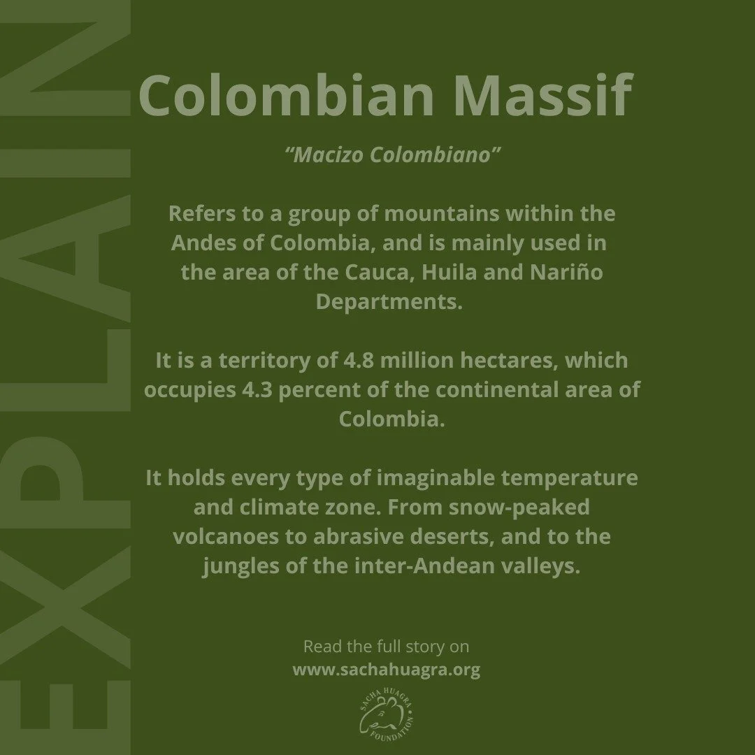 🏞️ Explain "Colombian Massif..." 🏞️ 

The Colombian Massif is a biodiverse mountain range in Colombia, home to unique species like the endangered Mountain Tapir (Tapirus pinchaque). This large herbivore plays a key role in maintaining the