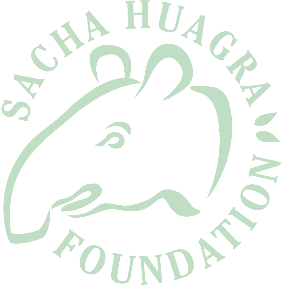 Sacha Huagra Foundation