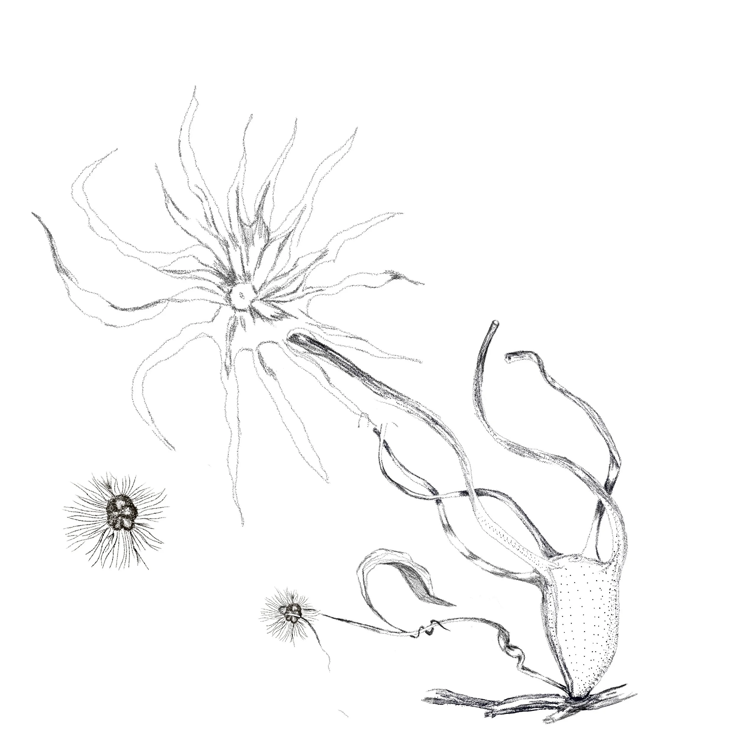 Untitled_Artwork 134.jpg