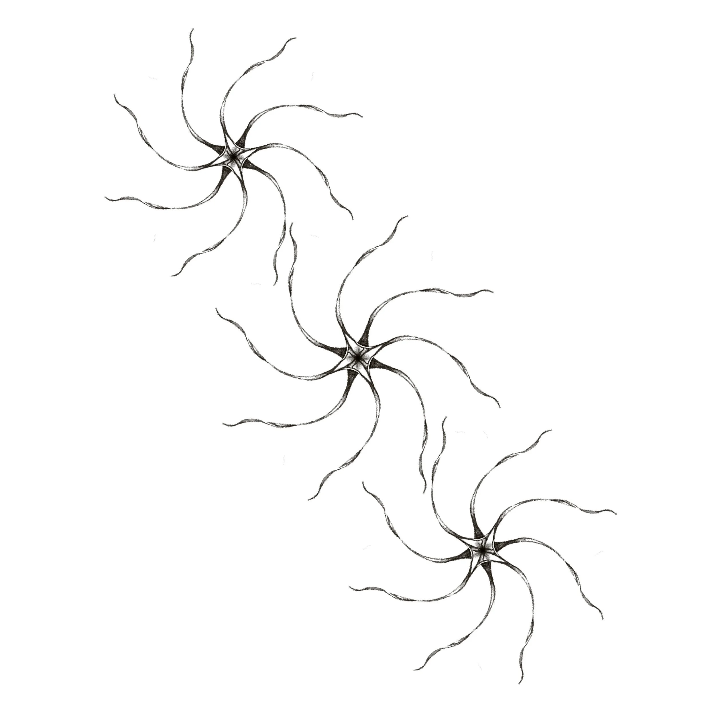 Untitled_Artwork 44.jpg