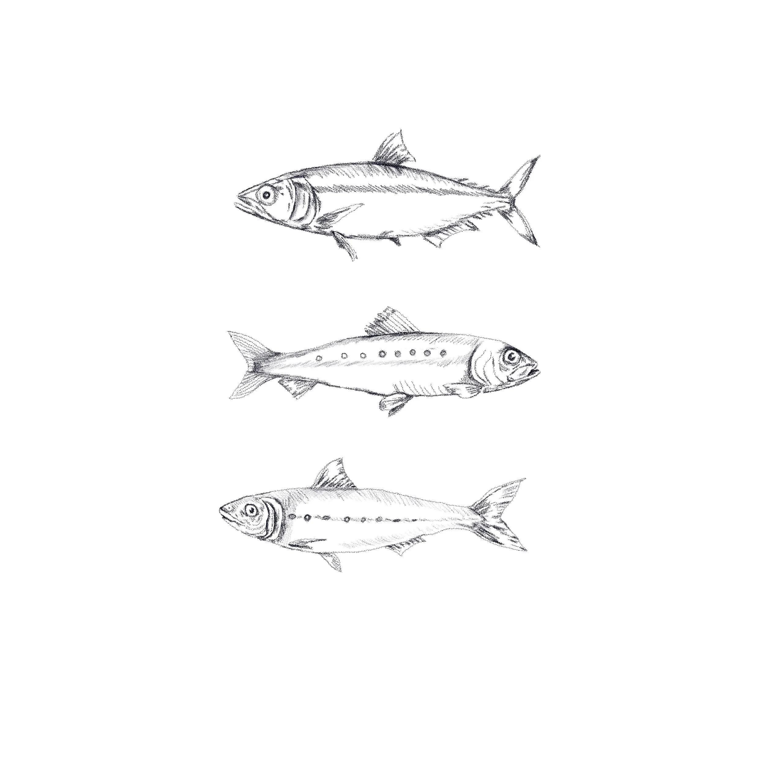 Untitled_Artwork 131.jpg