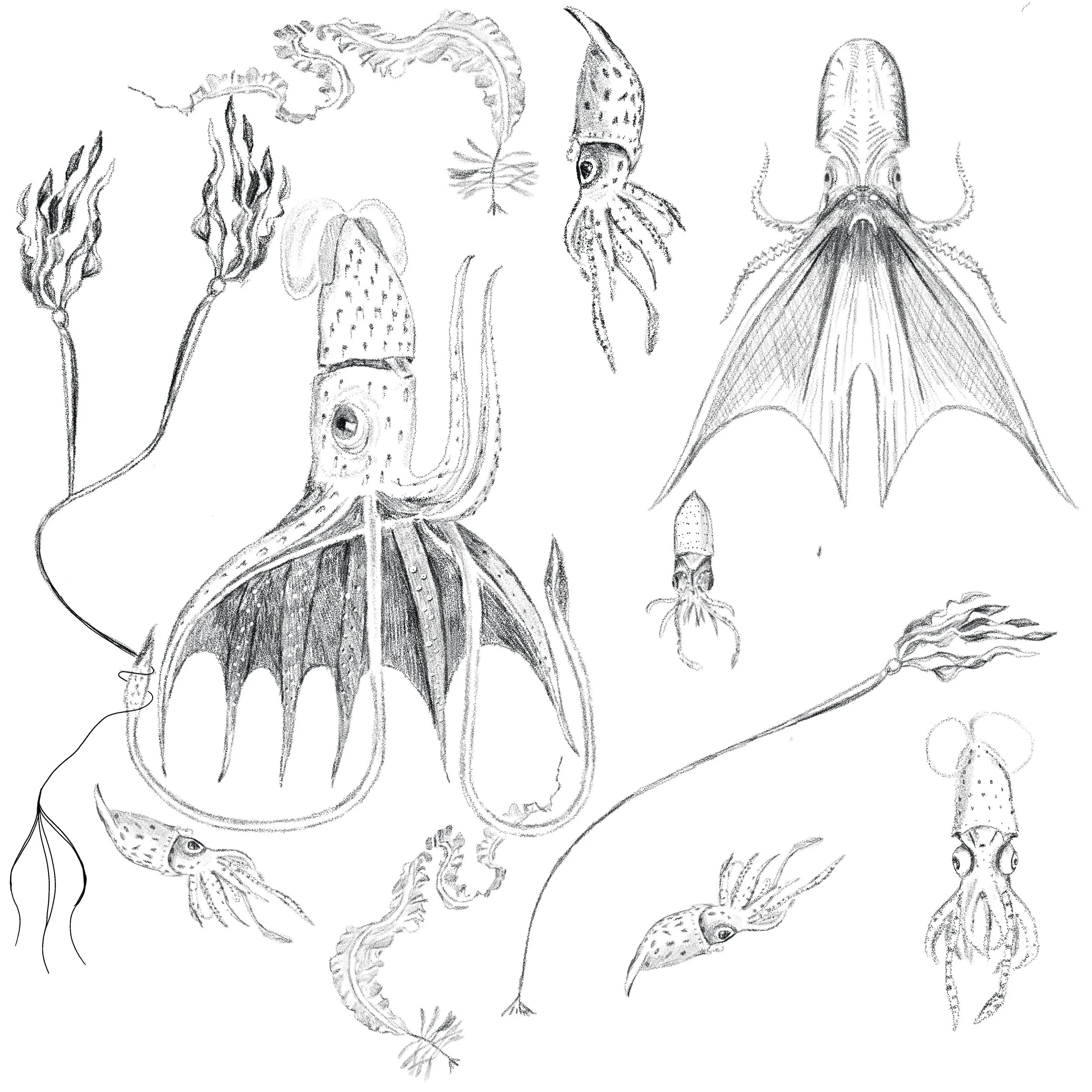 Untitled_Artwork 115.jpg