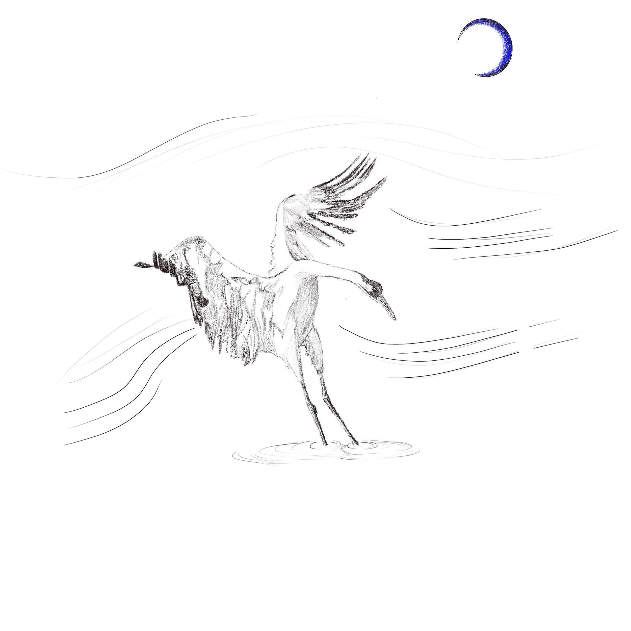 Untitled_Artwork 127.jpg