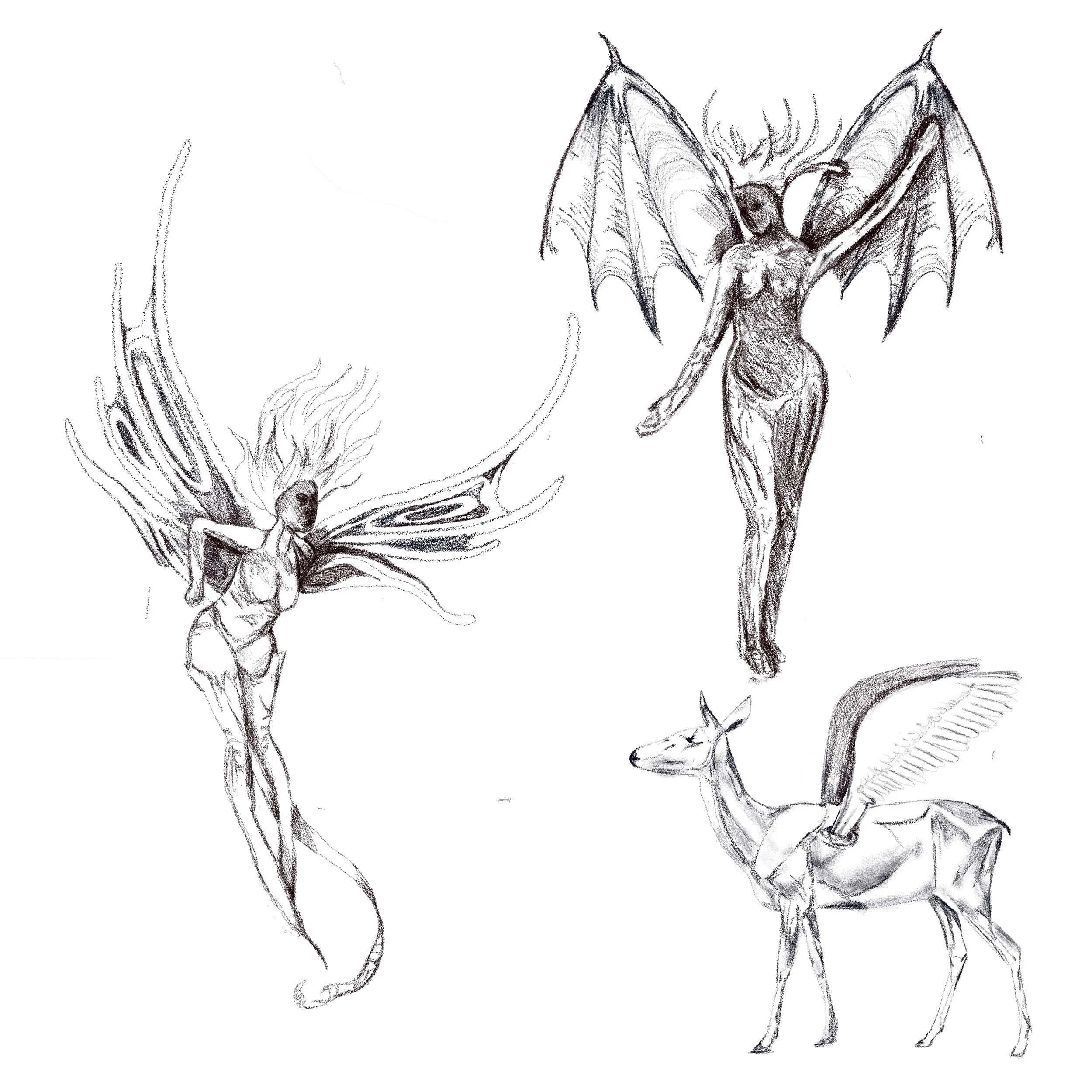 Untitled_Artwork 141.jpg