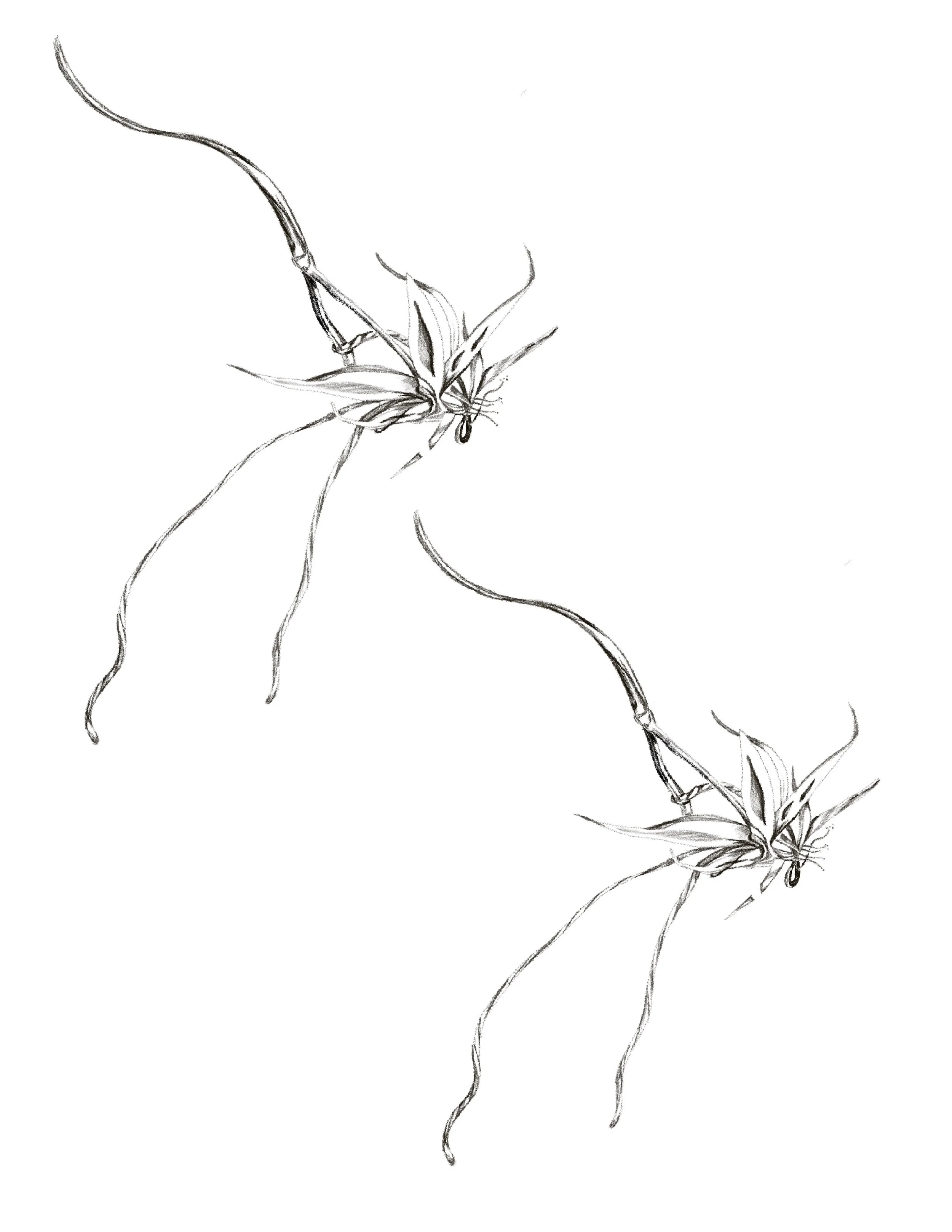 Untitled_Artwork 63.jpg