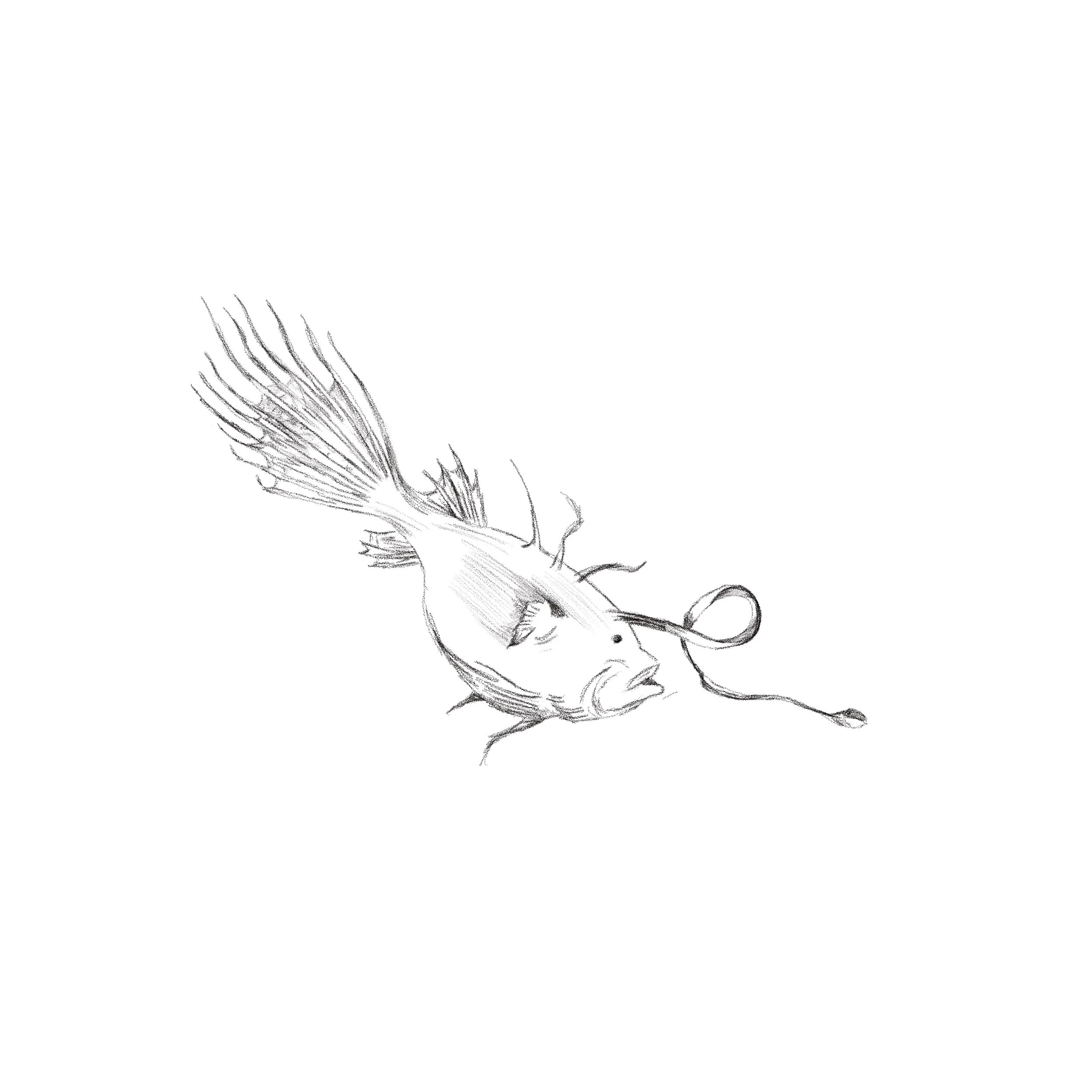 Untitled_Artwork 92.jpg