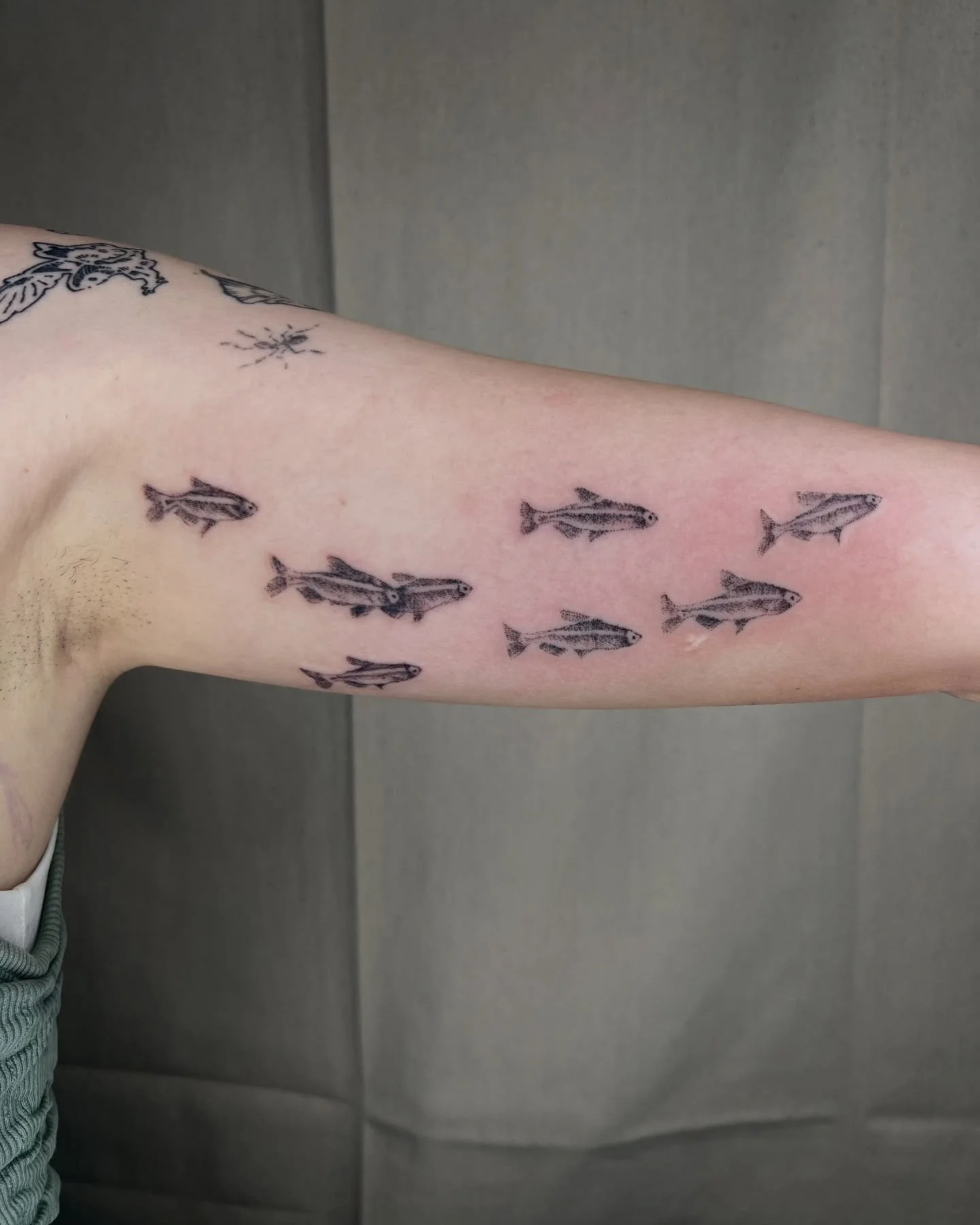 🐟 Handpoke school of tetra 🐠 

Booking for December 

Done at @lair.atelier 

#hanpokedtattoo #fishtattoo #chicagotattooshops