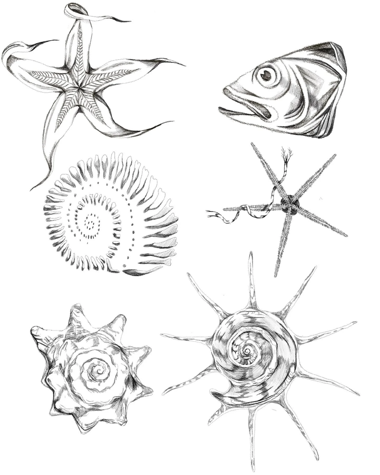 ⛓️&zwj;💥 Flash Drop ⛓️&zwj;💥

Super excited about a lot of these drawings and renderings - I&rsquo;ve been working across both digital and physical flash. 

I&rsquo;m currently booking March and April 2026! 
I&rsquo;m also going to be guesting Marc