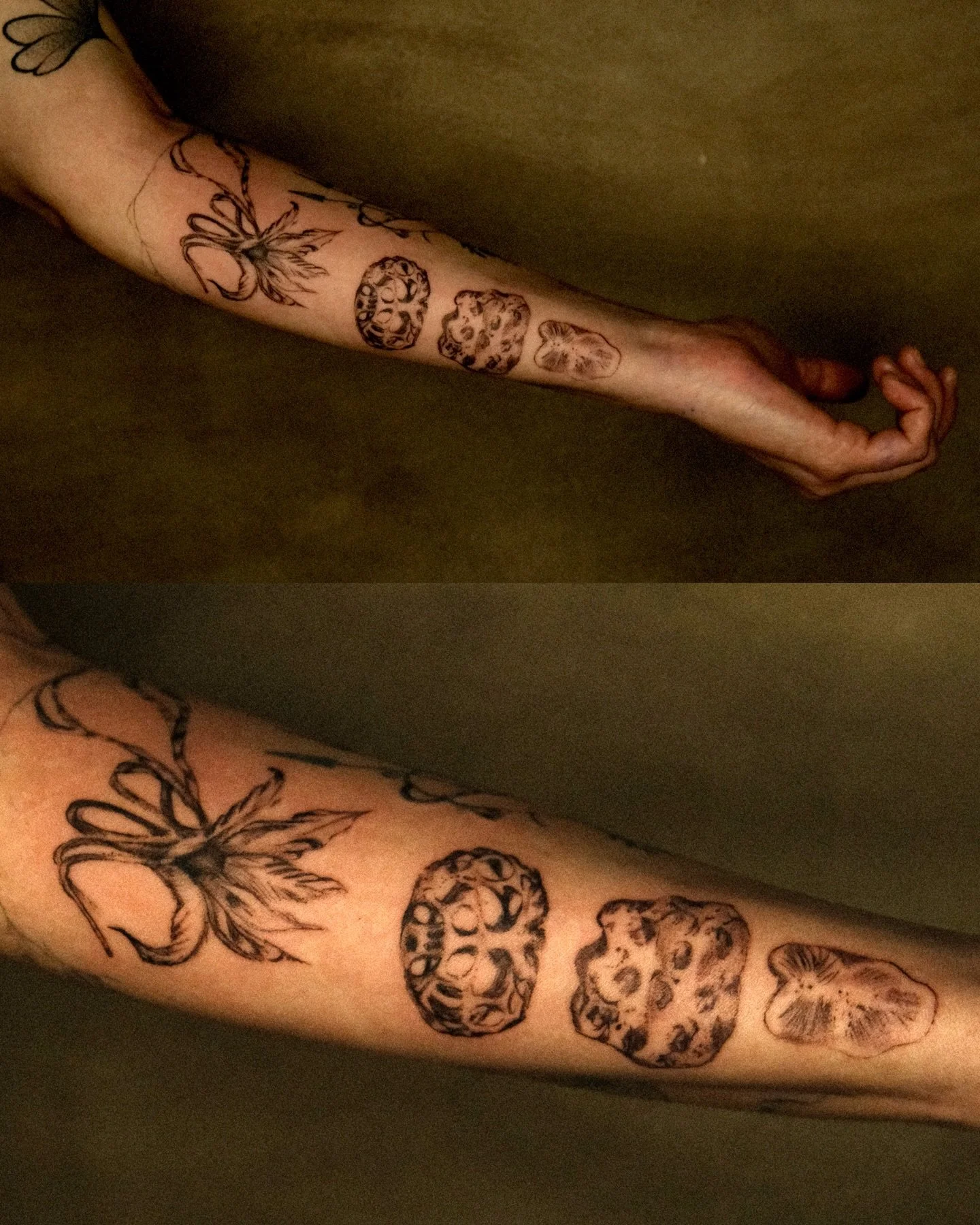 🪨 🌺 handpoke and machine half sleeve 🦠

An awesome collaborative journey with the lovely @bee.hammond.doula . This half sleeve has everything I love: it&rsquo;s freaky and florally and wrap-y and is a collage of beautiful elements that were import