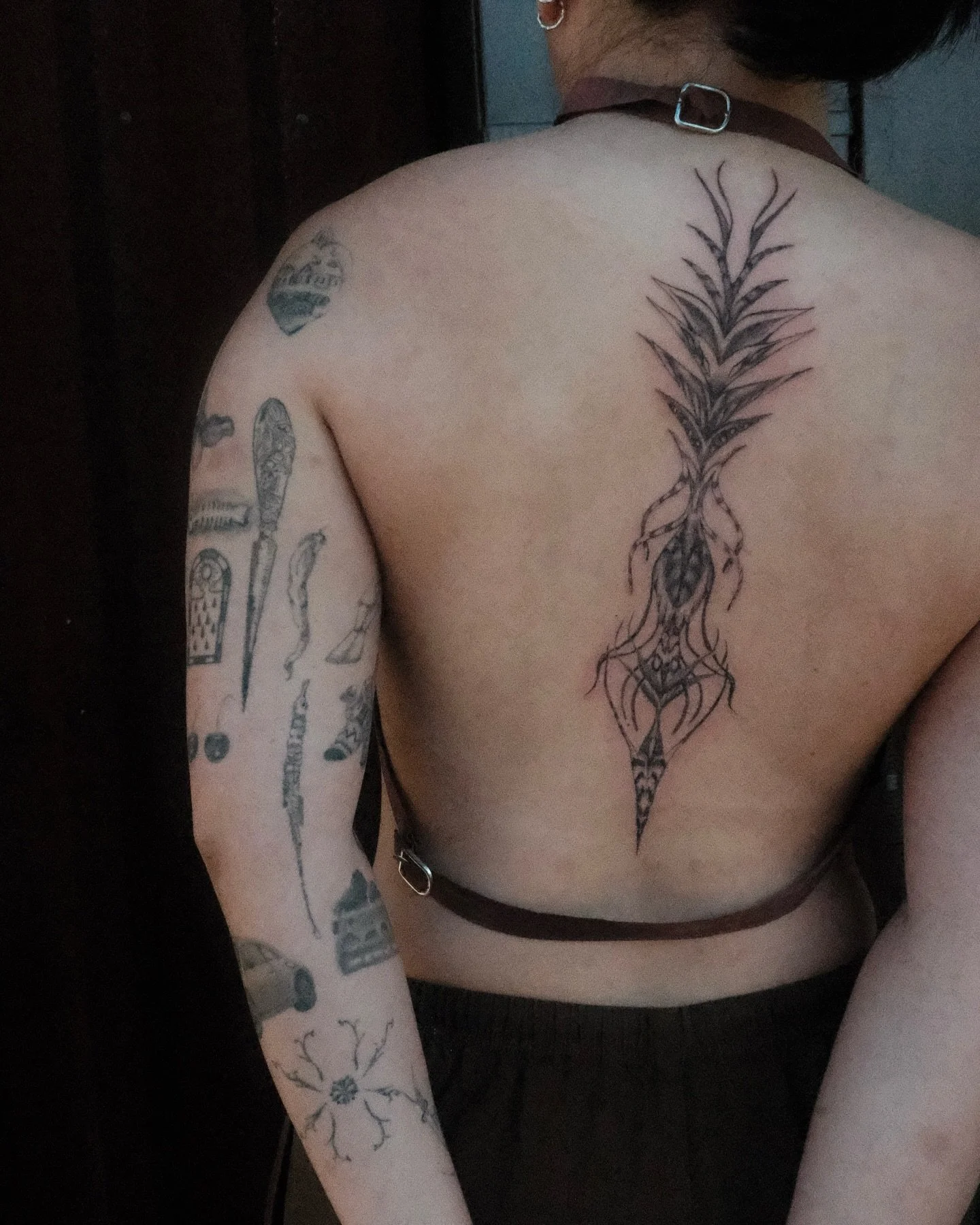 🖤 back piece 🖤 (with some healed arm pieces)

absolutely loving my time in LA at @twicerabbittattoo. Had to post this back piece, a freaky bug/ abstract orchid/ plant thing tha I tattooed on Skye- 

Thank you so much 🖤🖤🦠 

#latattoo #losangelest