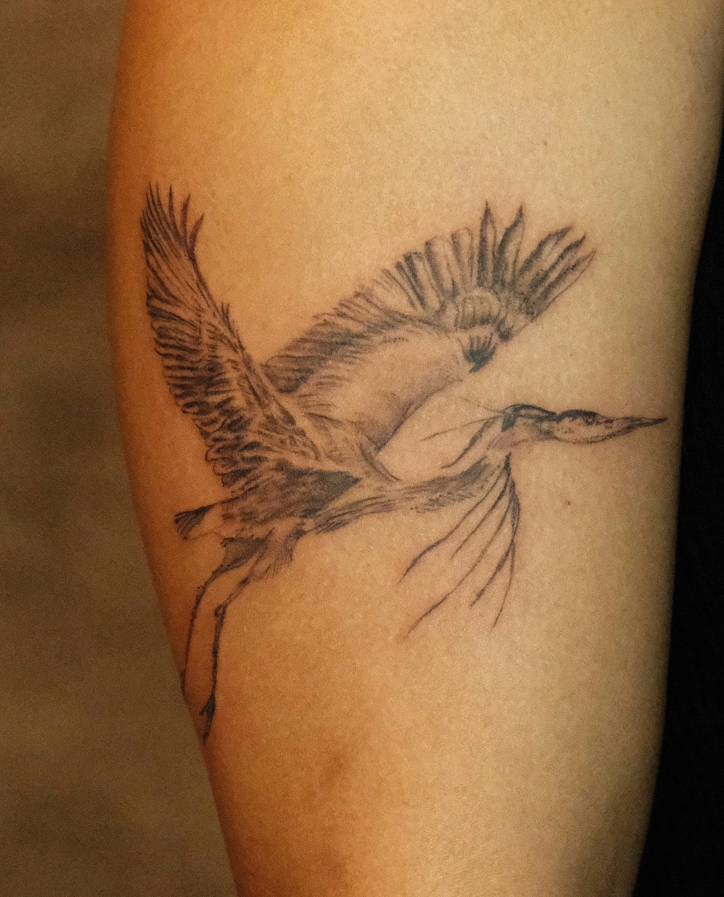 🦅 Custom heron ⛓️

JUNE/ JULY books are now open! It&rsquo;s been a while since I posted so thanks for your patience with me, life has been so busy 

booking for June/July and will have very limited spots available 👀 

Also I MAY be back in LA this