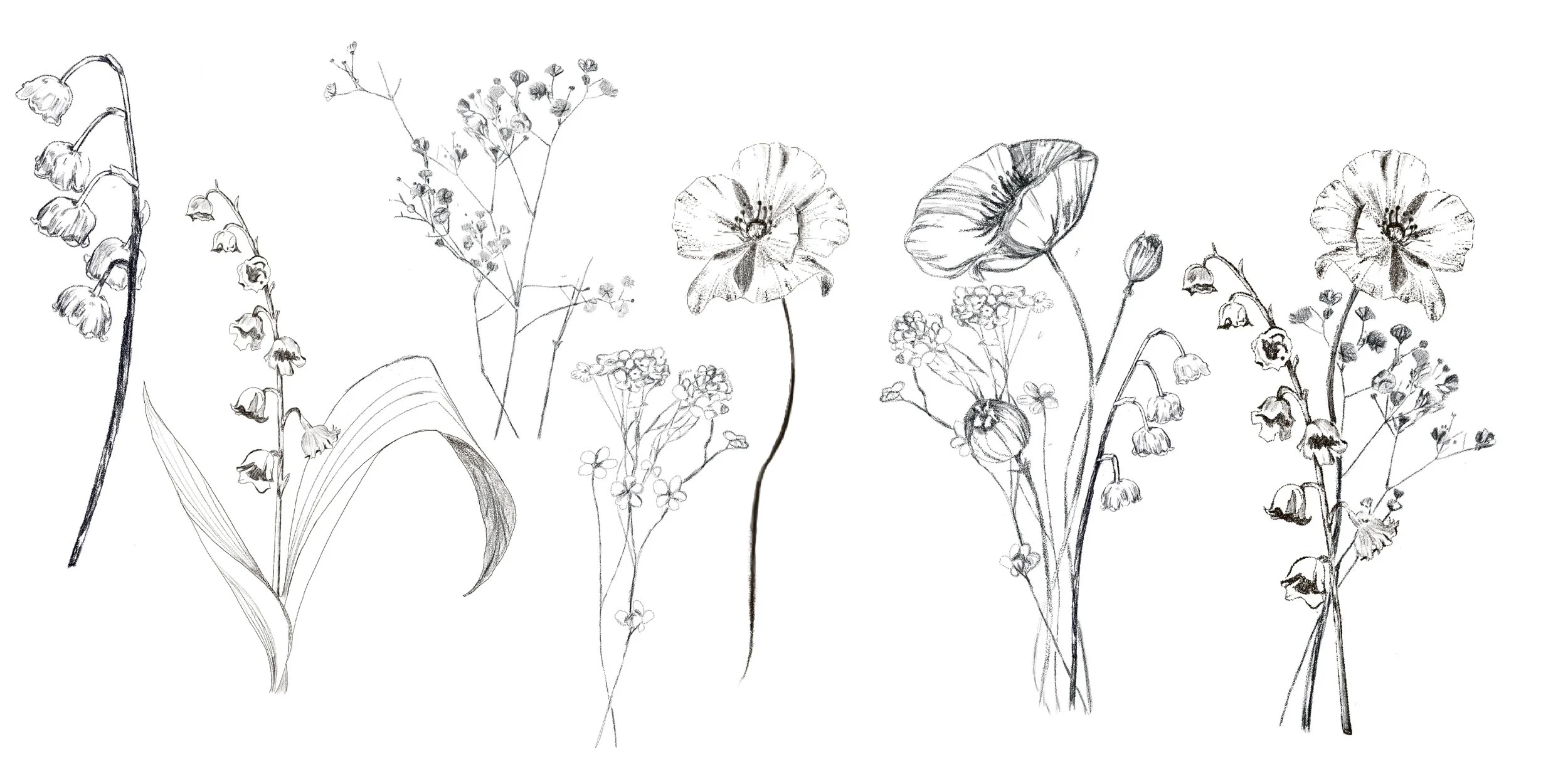 Untitled_Artwork 72.jpg