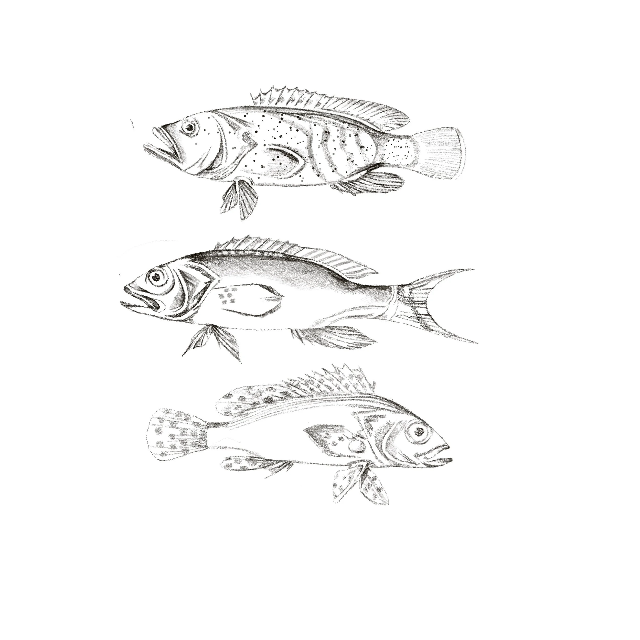 Untitled_Artwork 35.jpg