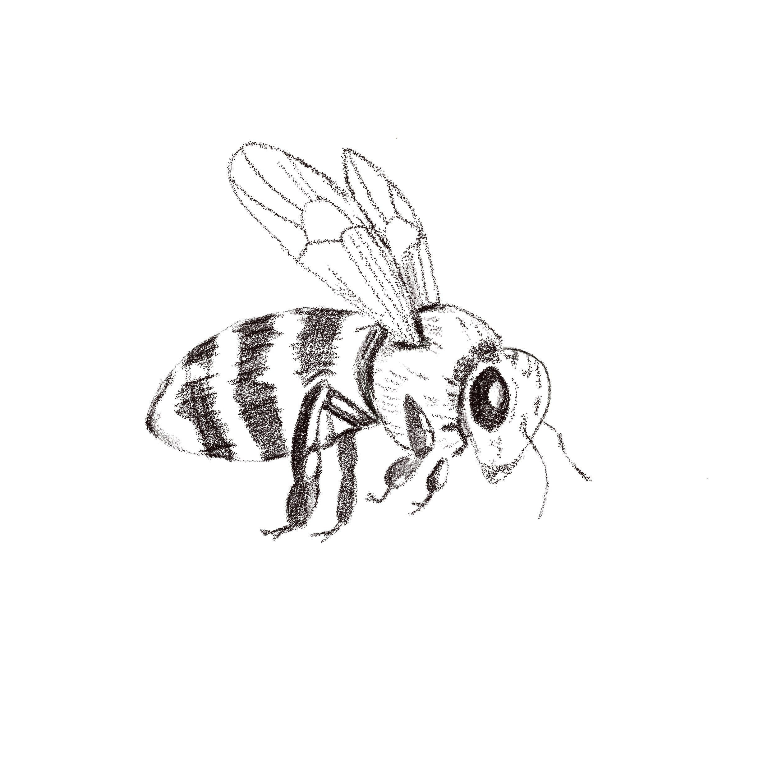 Untitled_Artwork 111.jpg