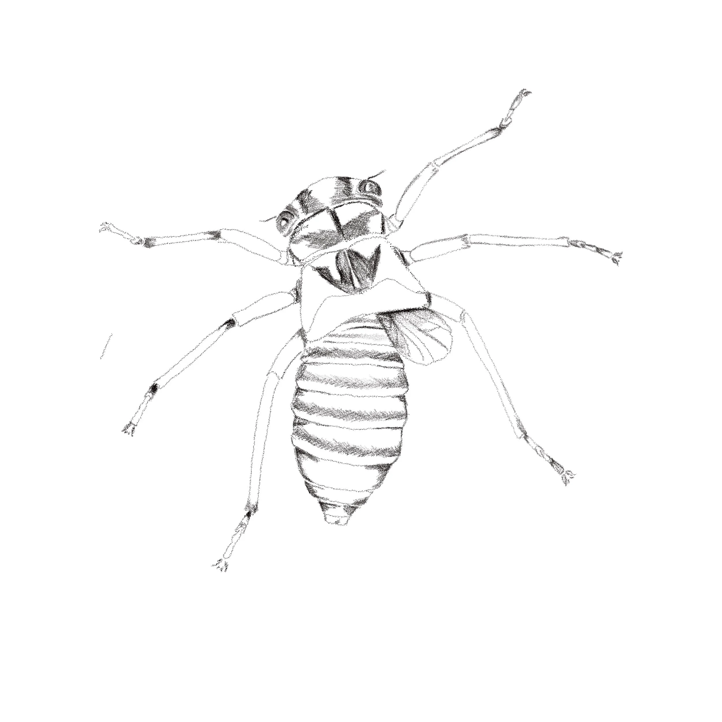 Untitled_Artwork 112.jpg