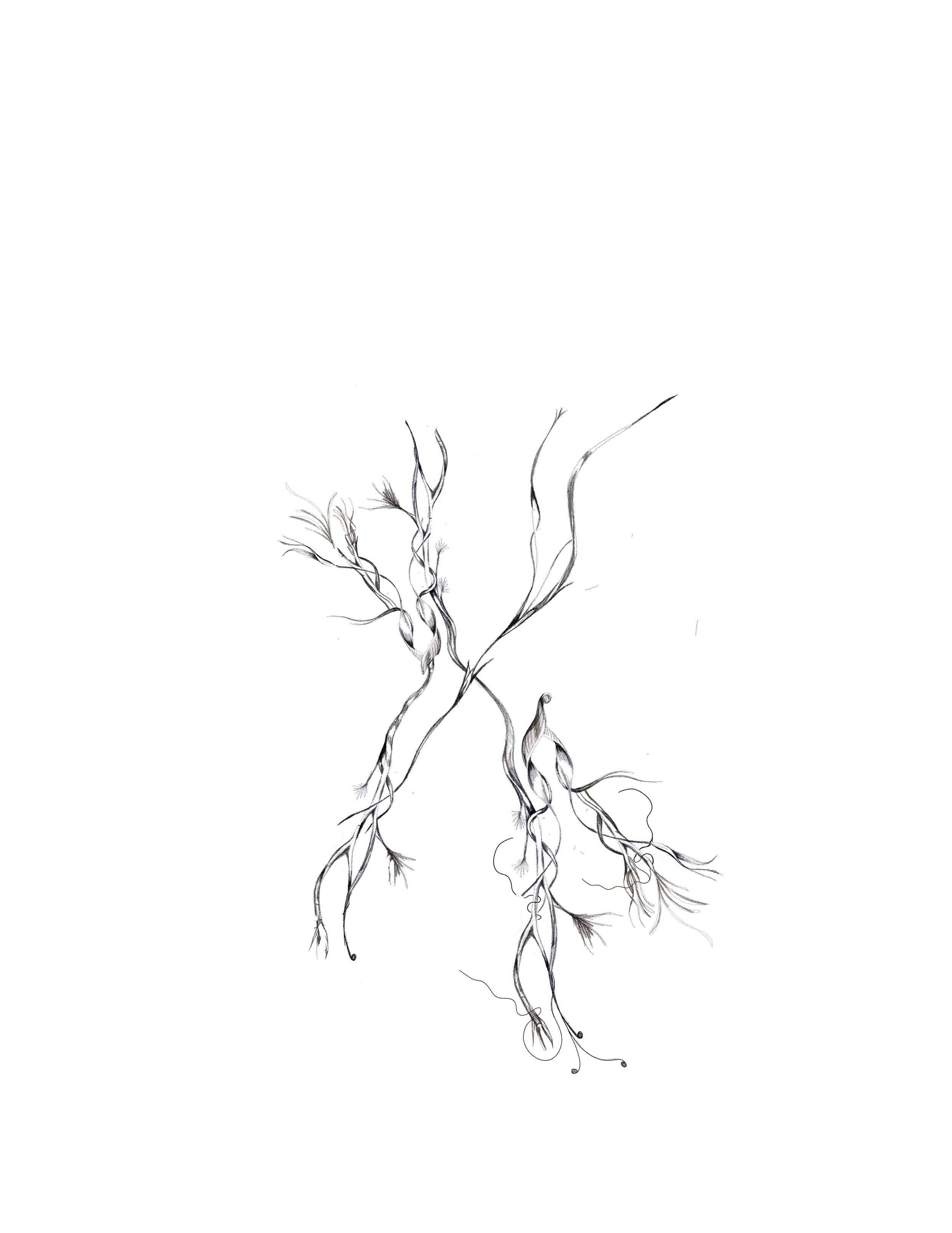 Untitled_Artwork 67.jpg