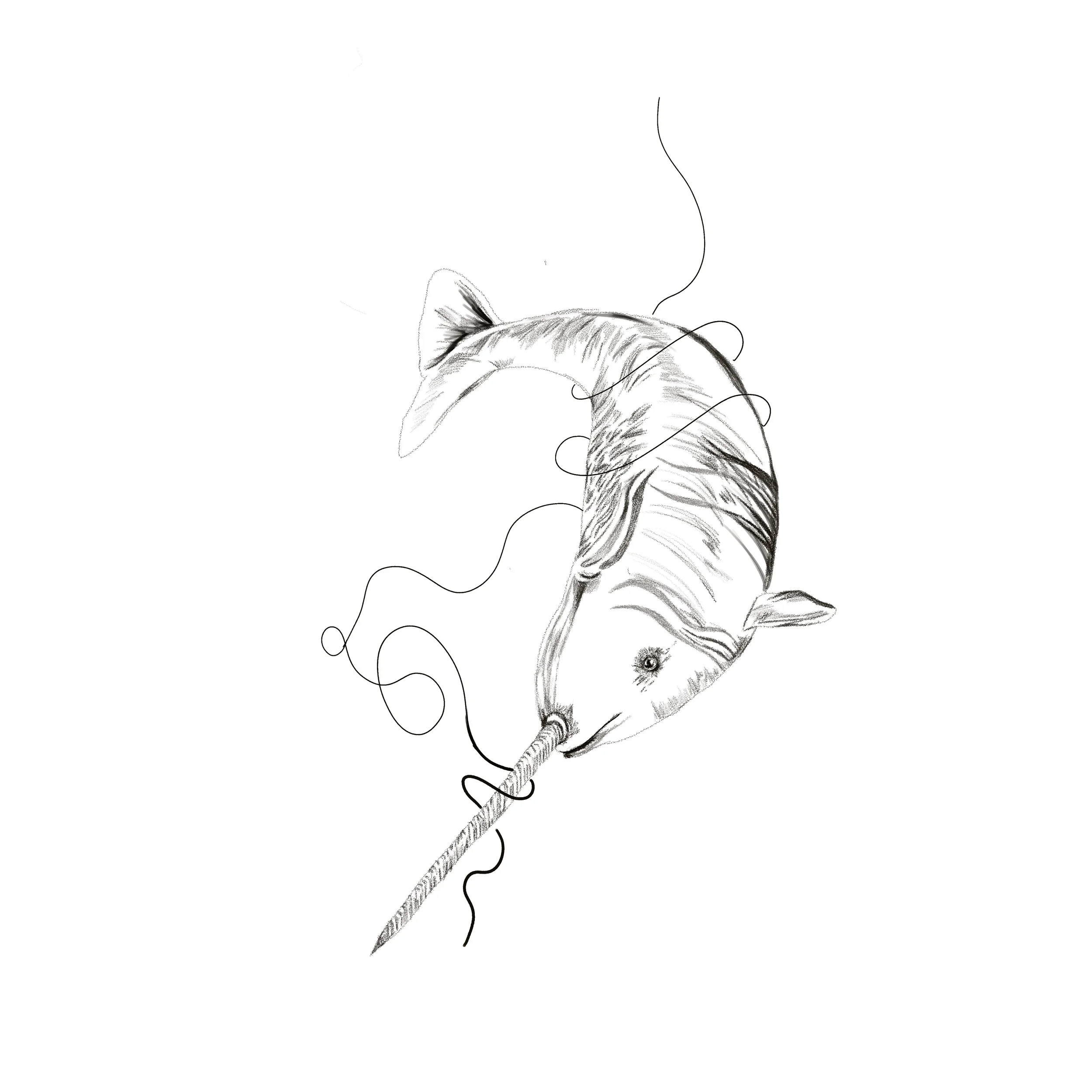 Untitled_Artwork 99.jpg