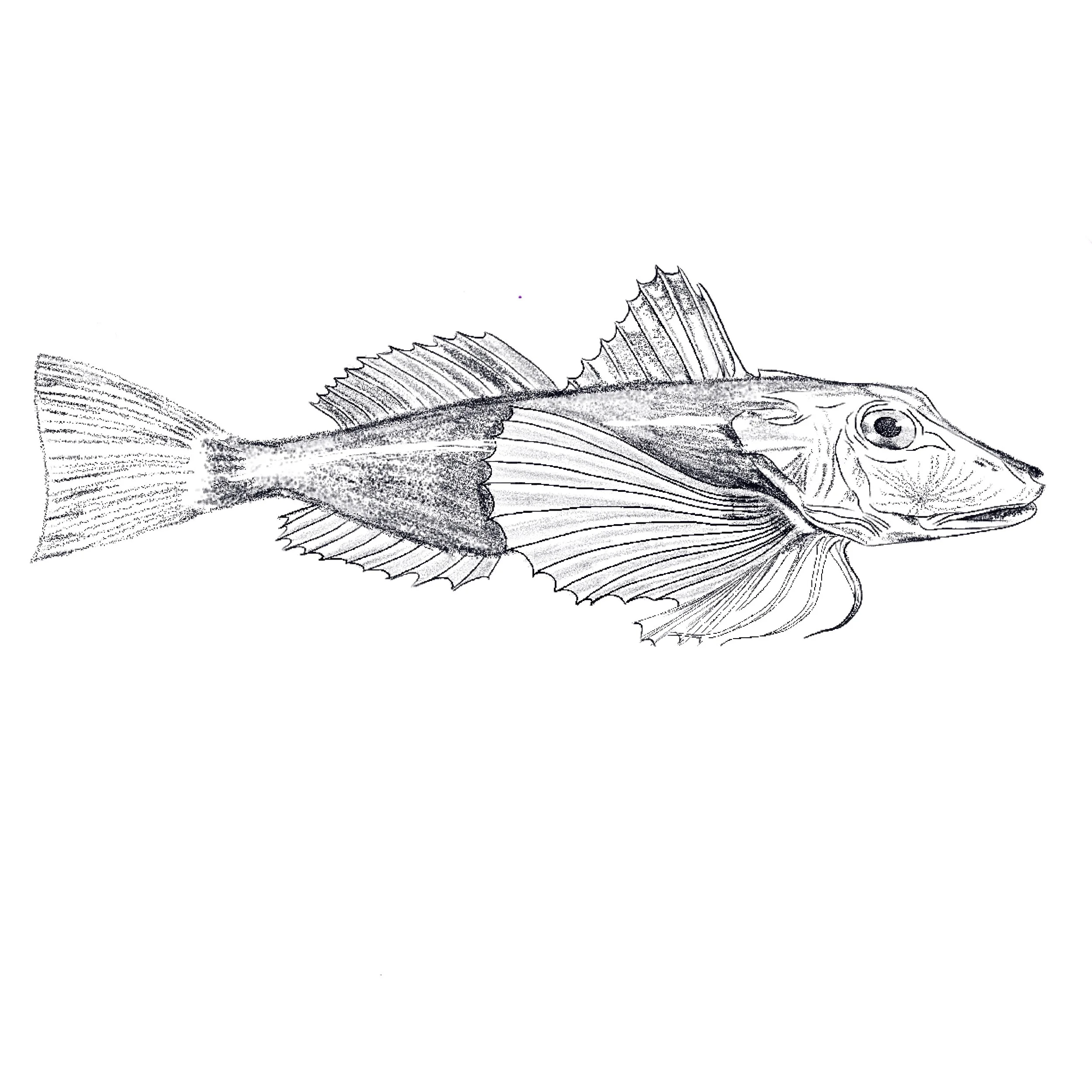 Untitled_Artwork 118.jpg