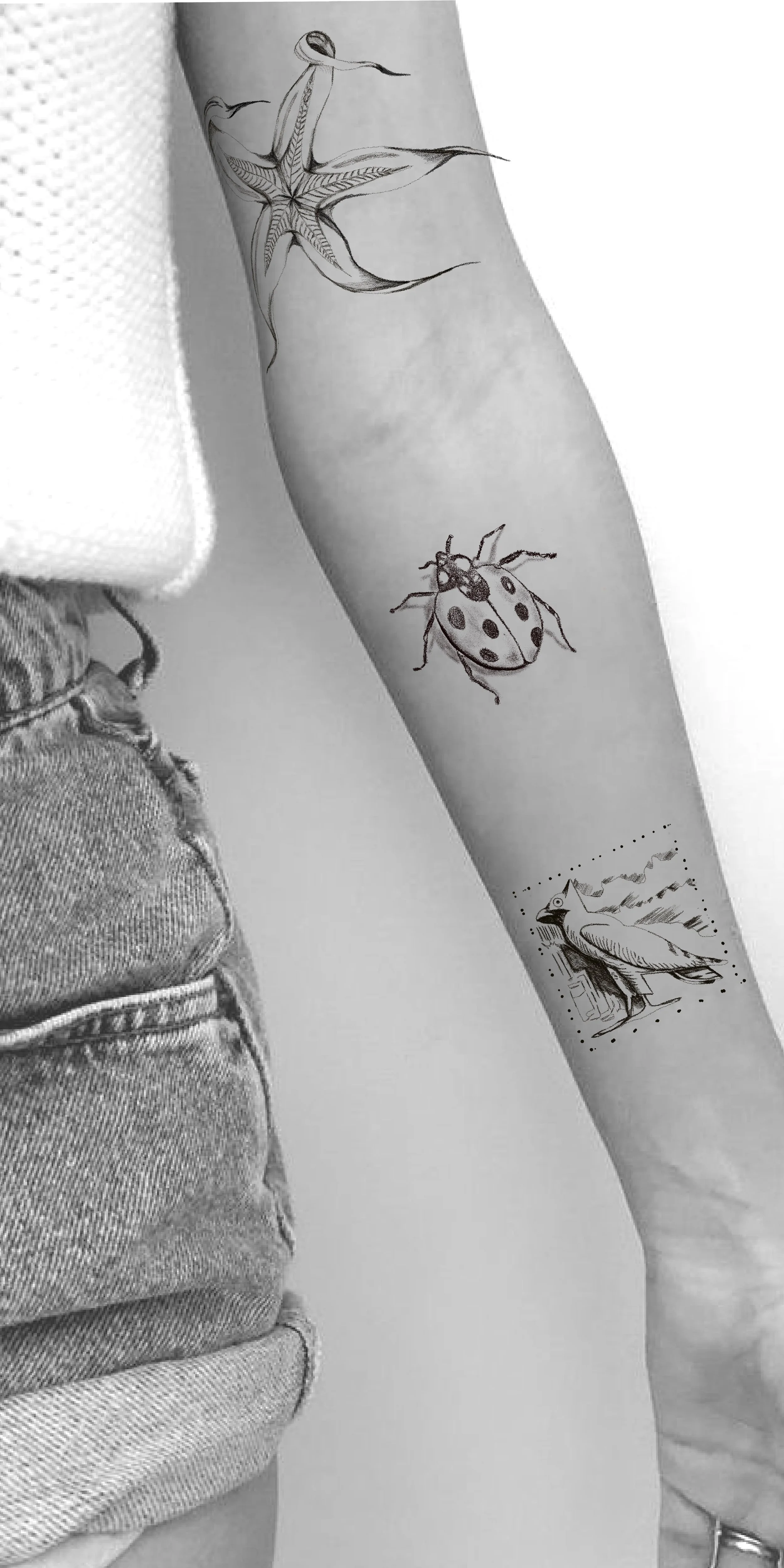 Untitled_Artwork 8.jpg