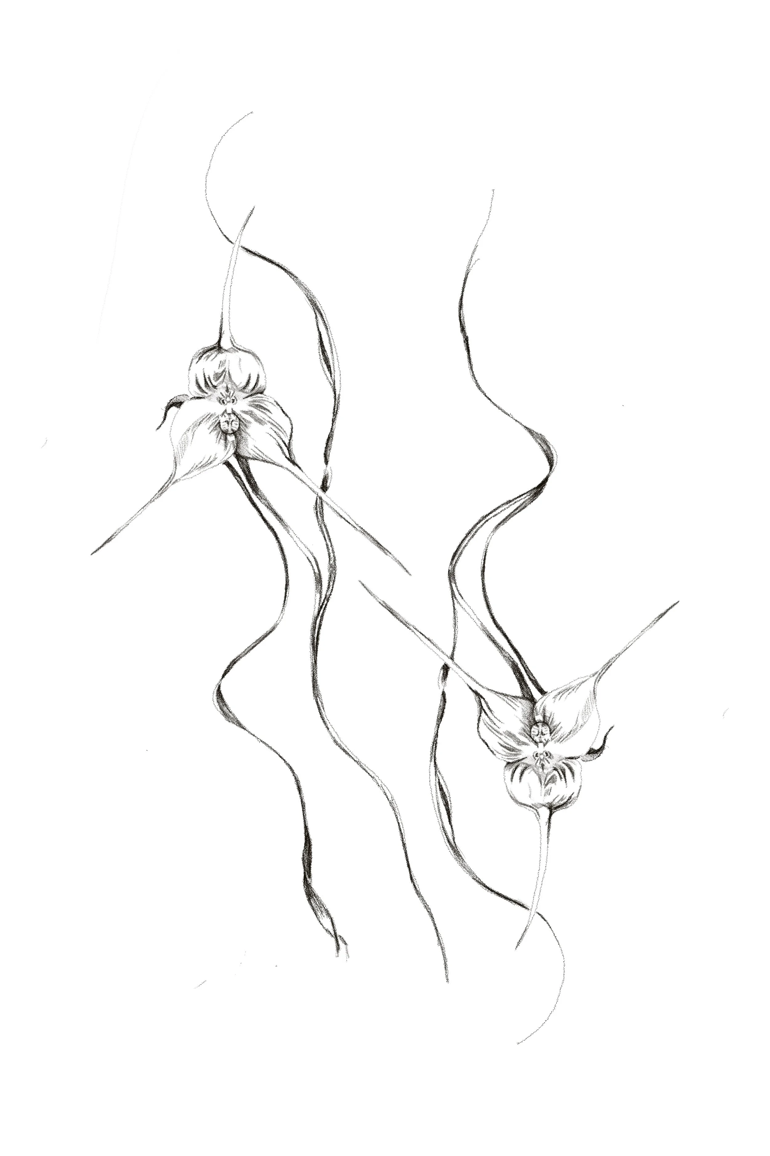 Untitled_Artwork 94.jpg