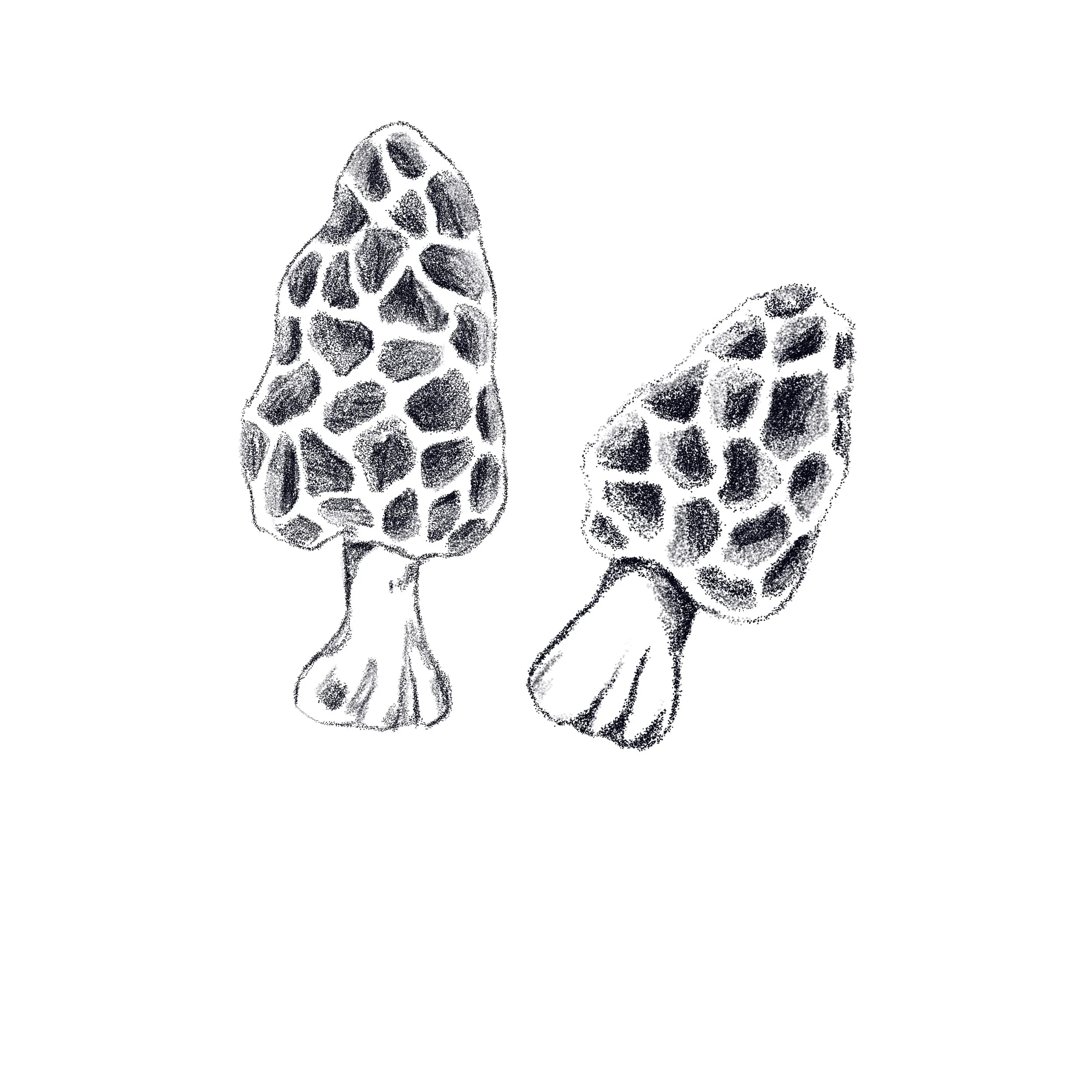 Untitled_Artwork 120.jpg