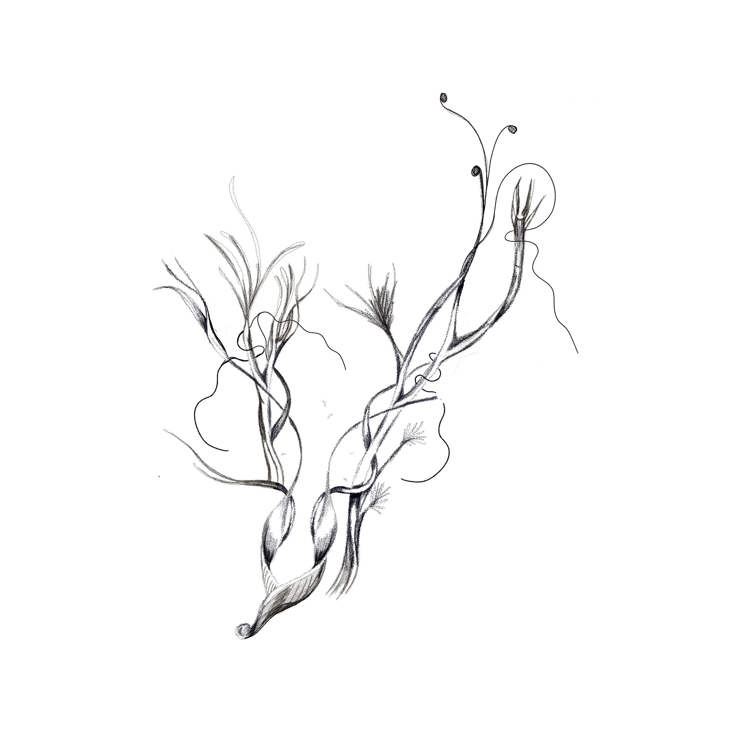 Untitled_Artwork 29.jpg