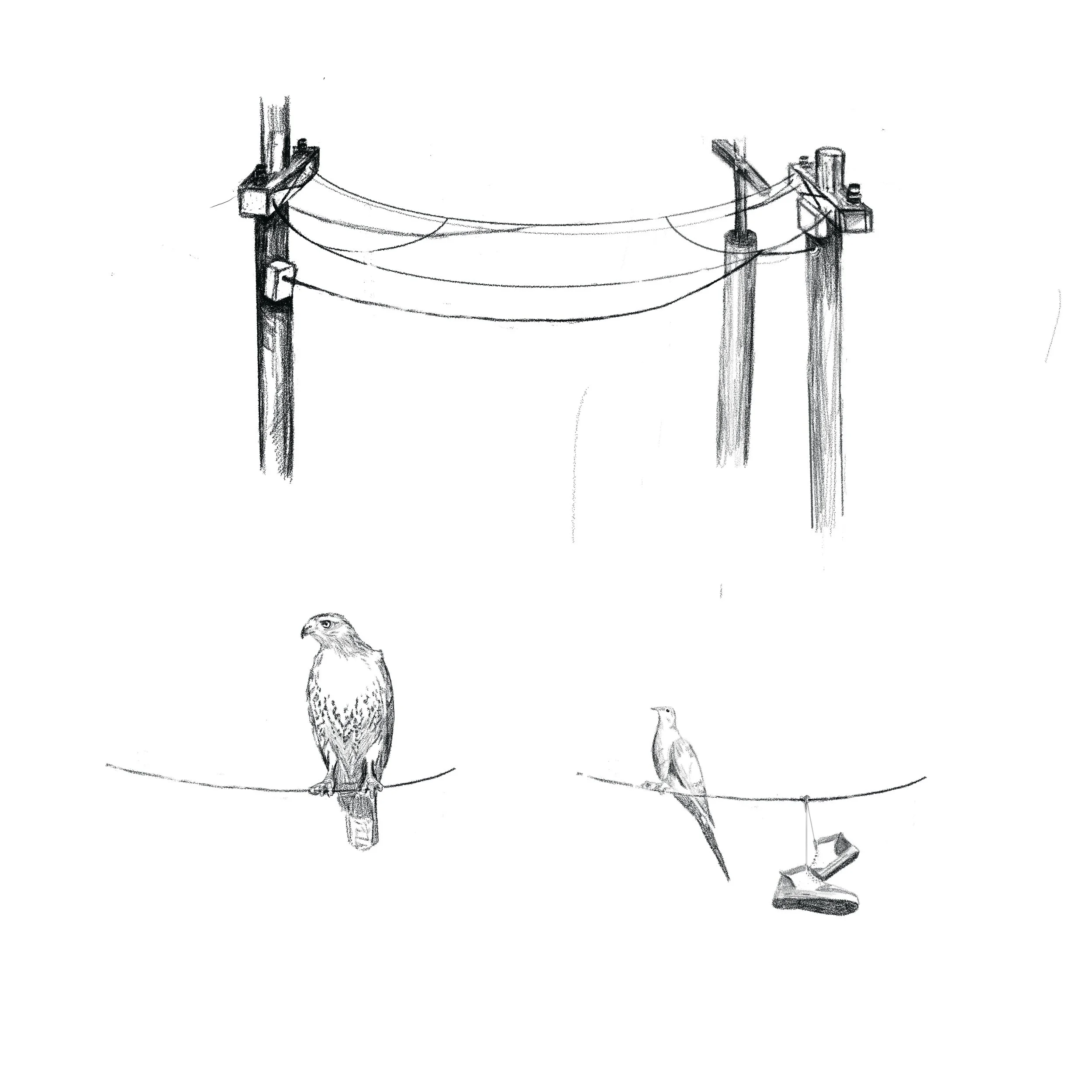 Untitled_Artwork 75.jpg