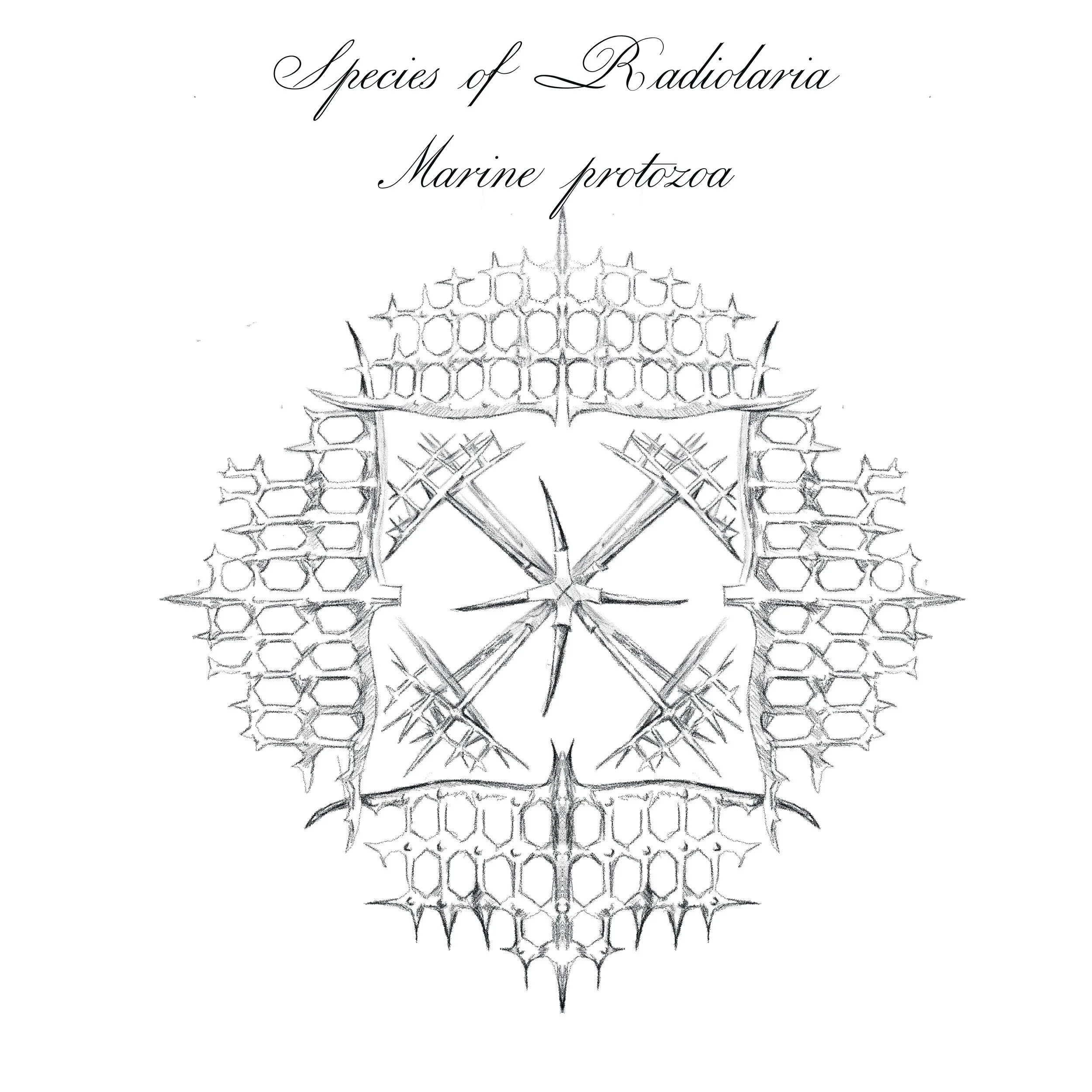 Untitled_Artwork 150.jpg