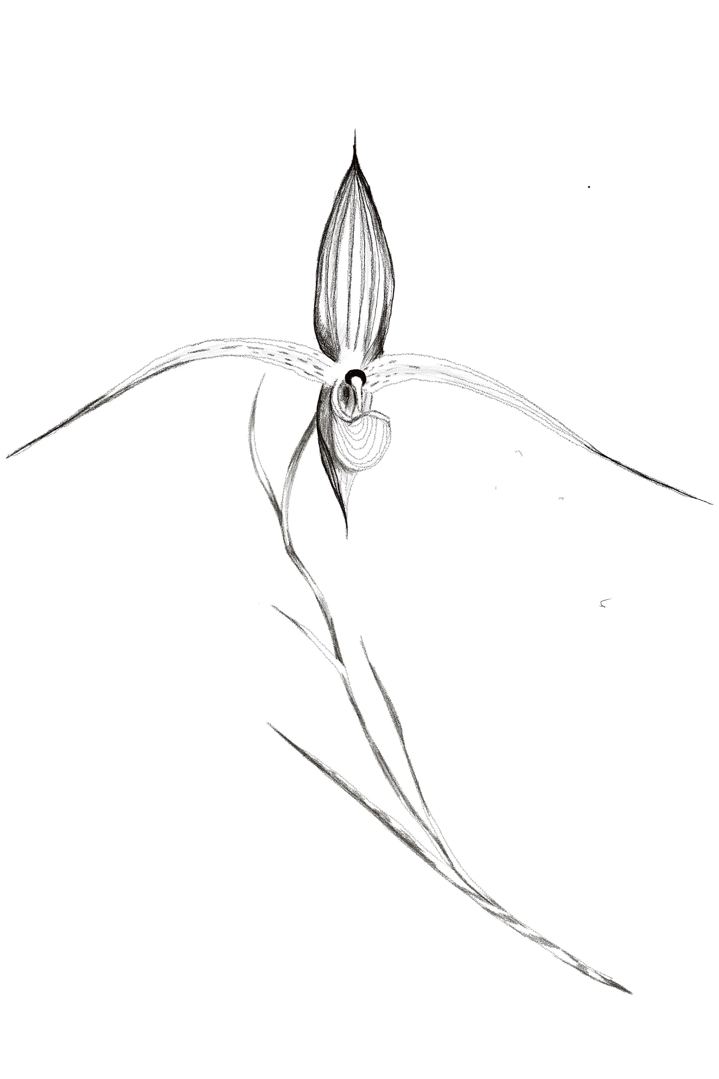 Untitled_Artwork 93.jpg