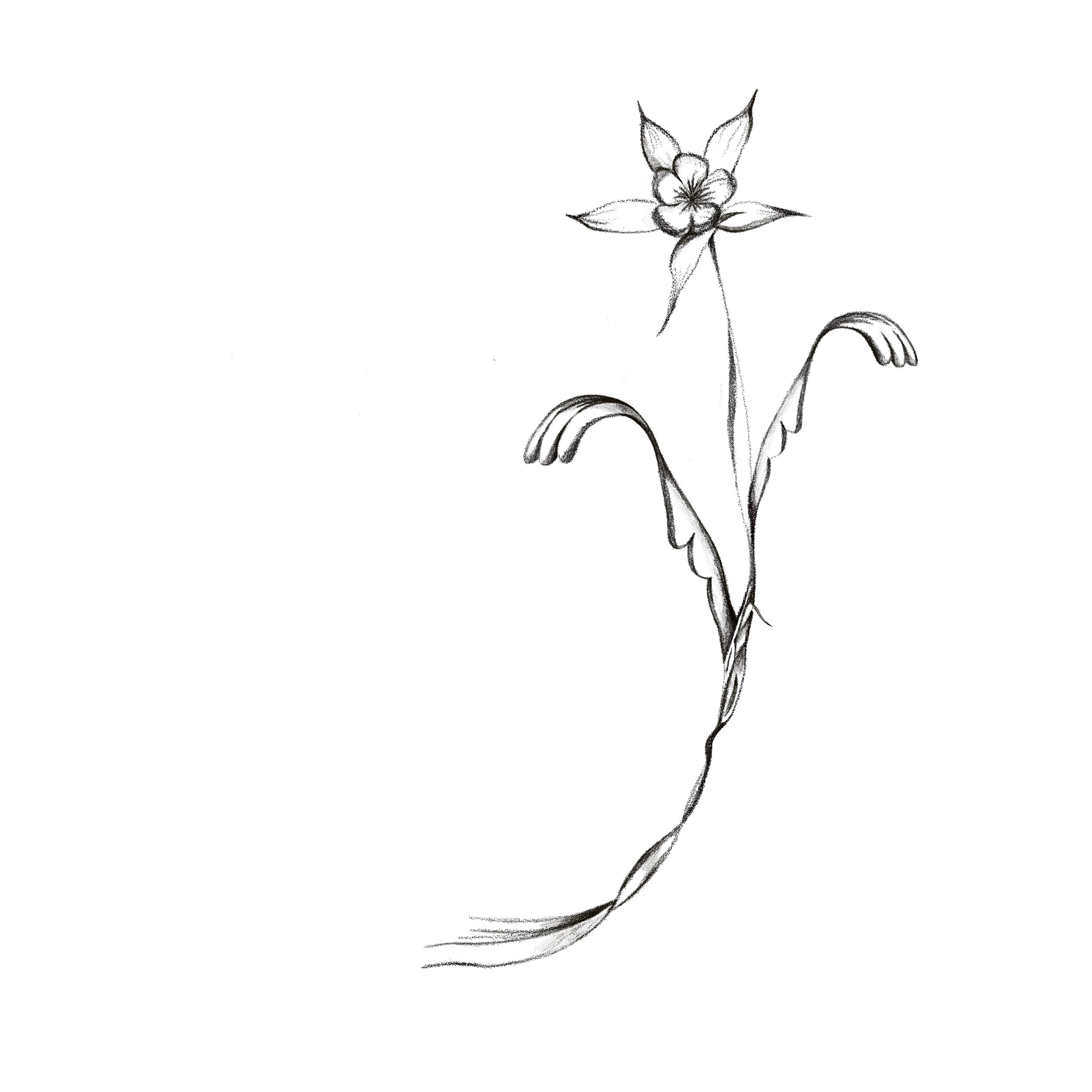 Untitled_Artwork 34.jpg