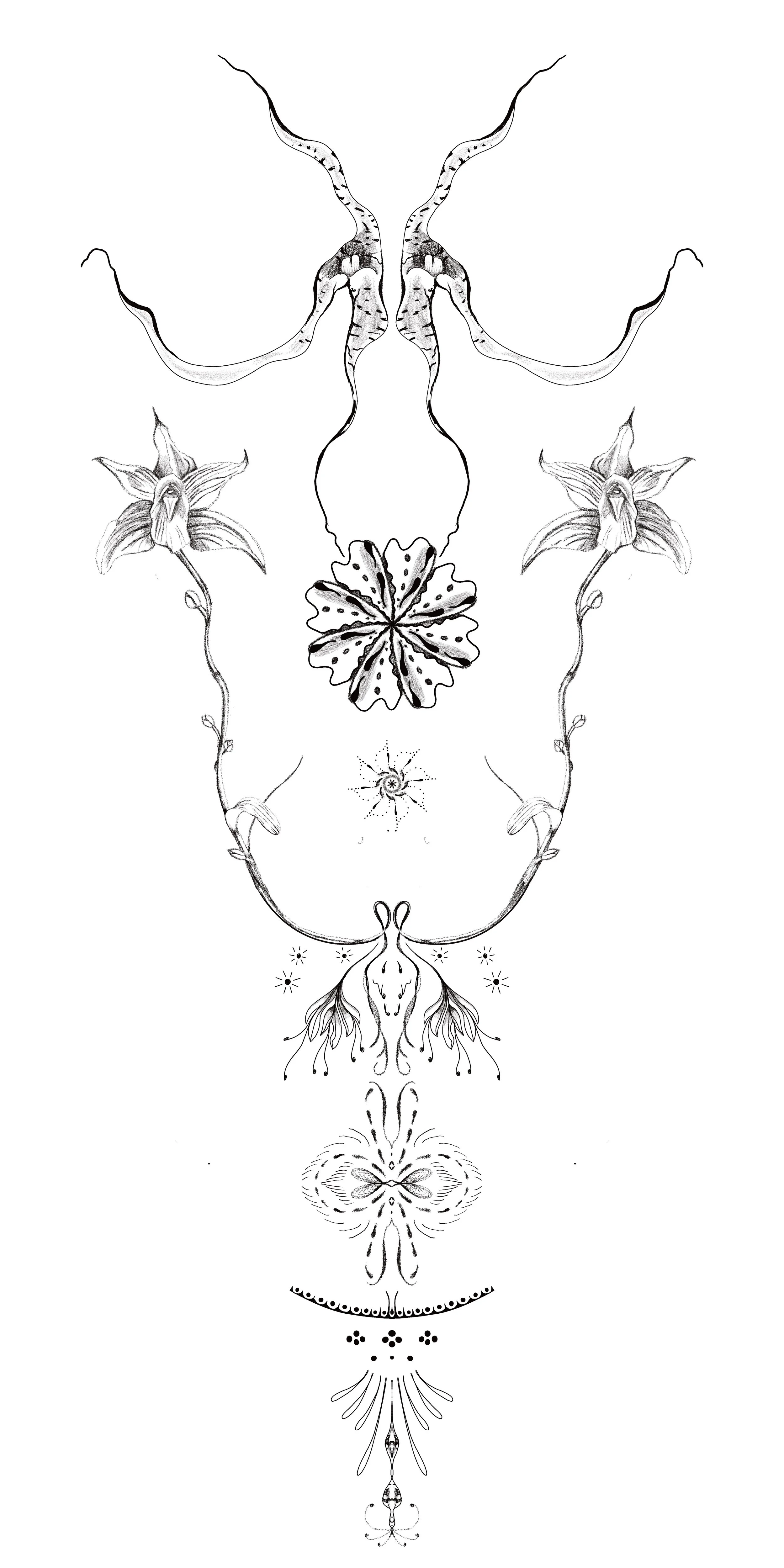 Untitled_Artwork 46.jpg