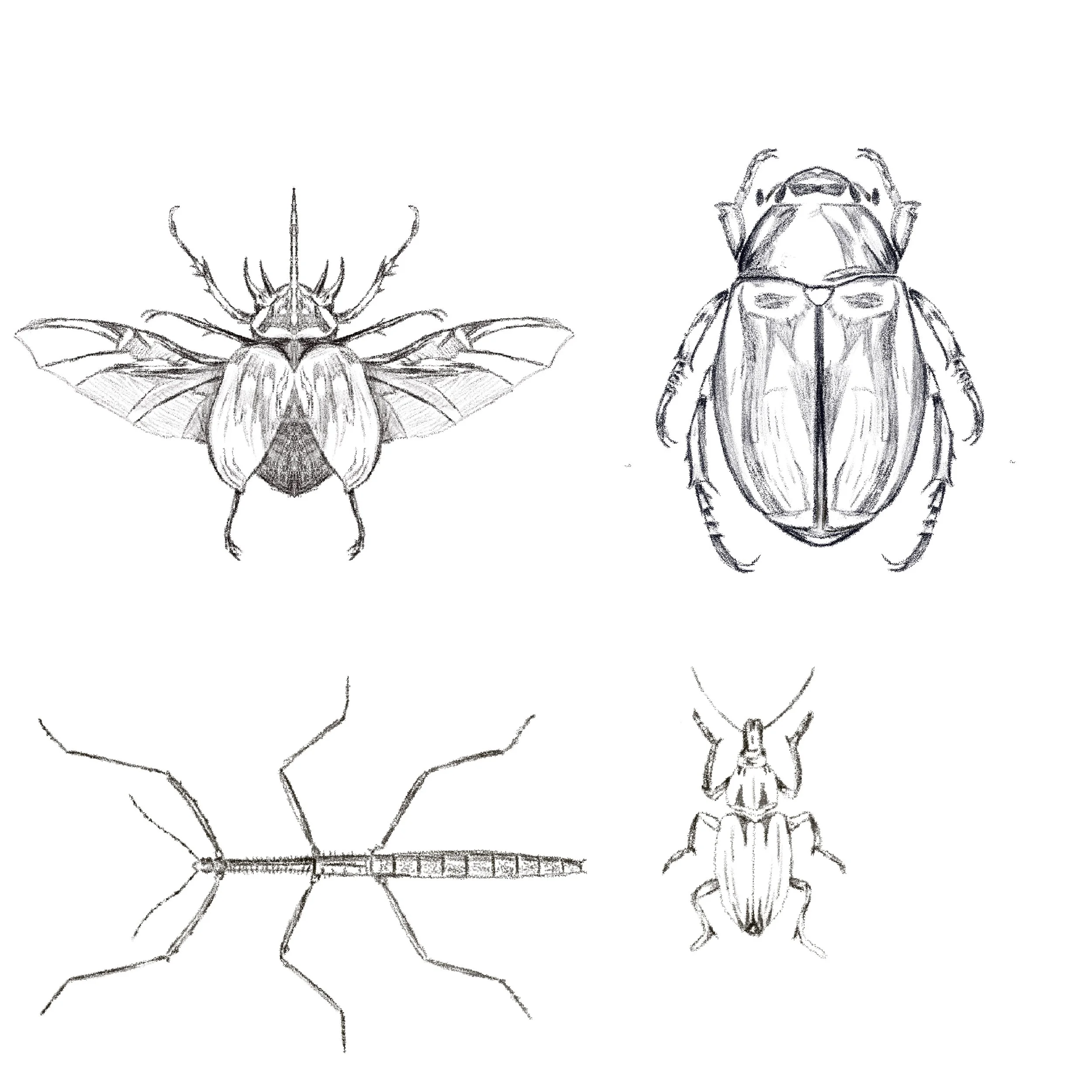 Untitled_Artwork 108.jpg