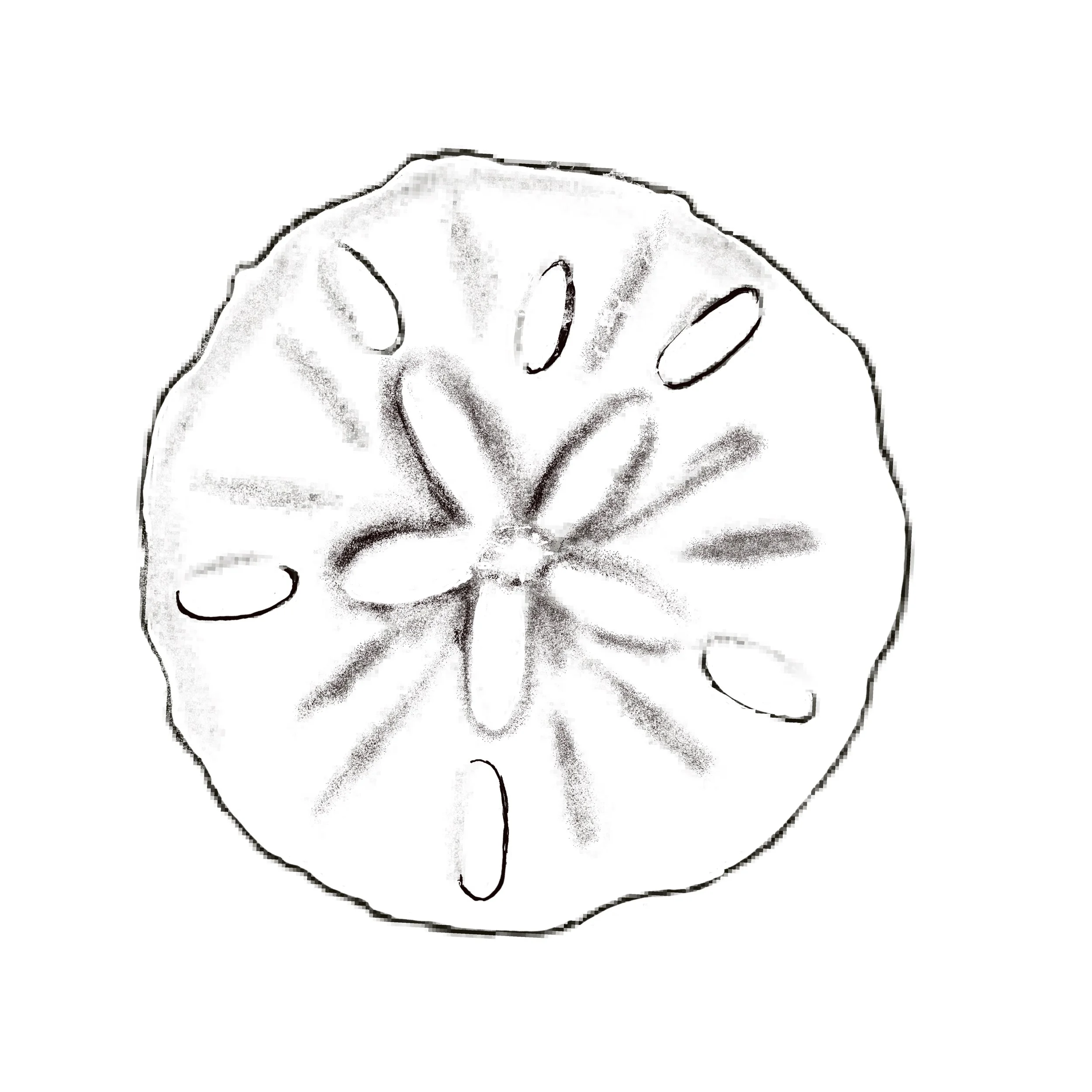 Untitled_Artwork 169.jpg