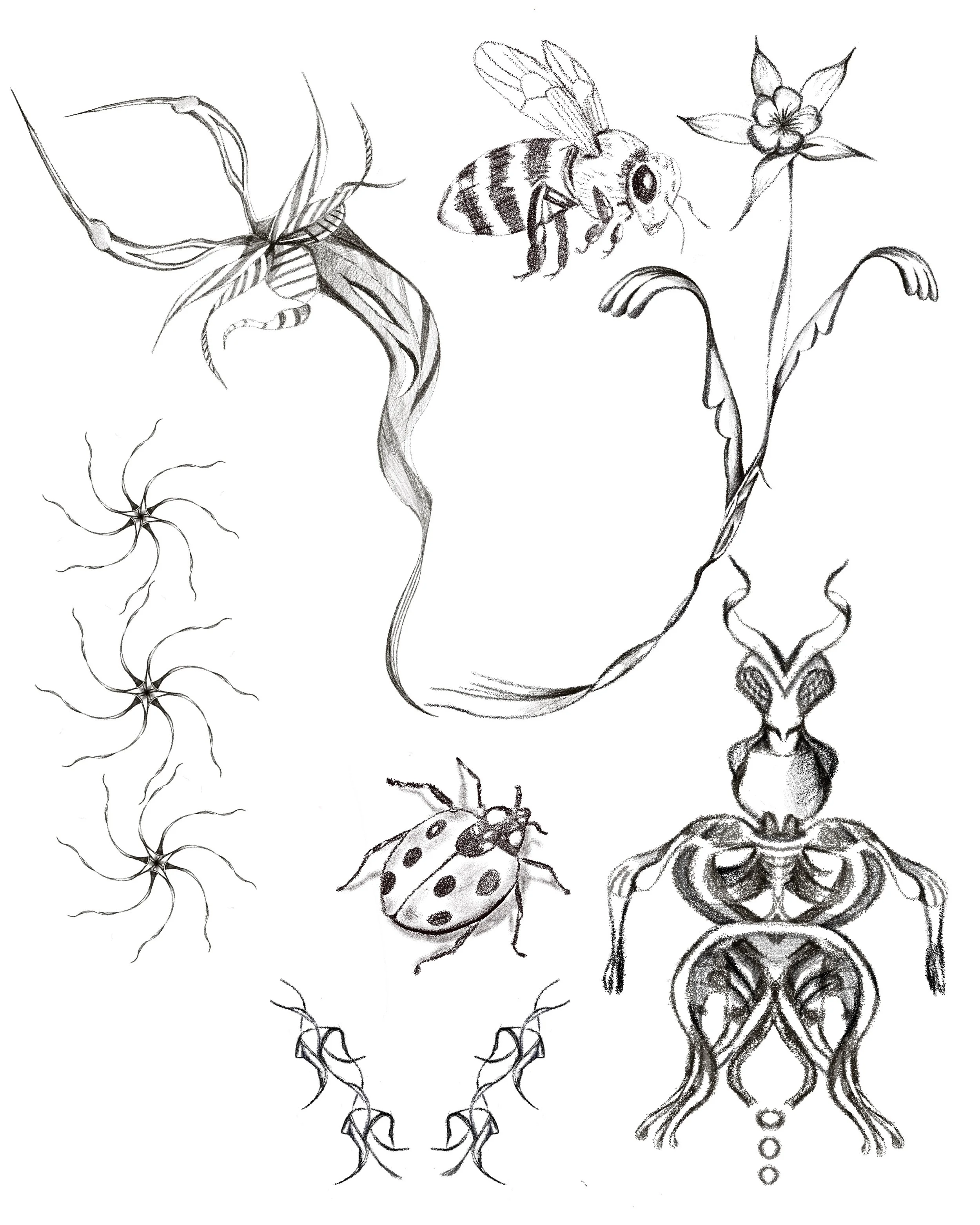 Untitled_Artwork 24.jpg