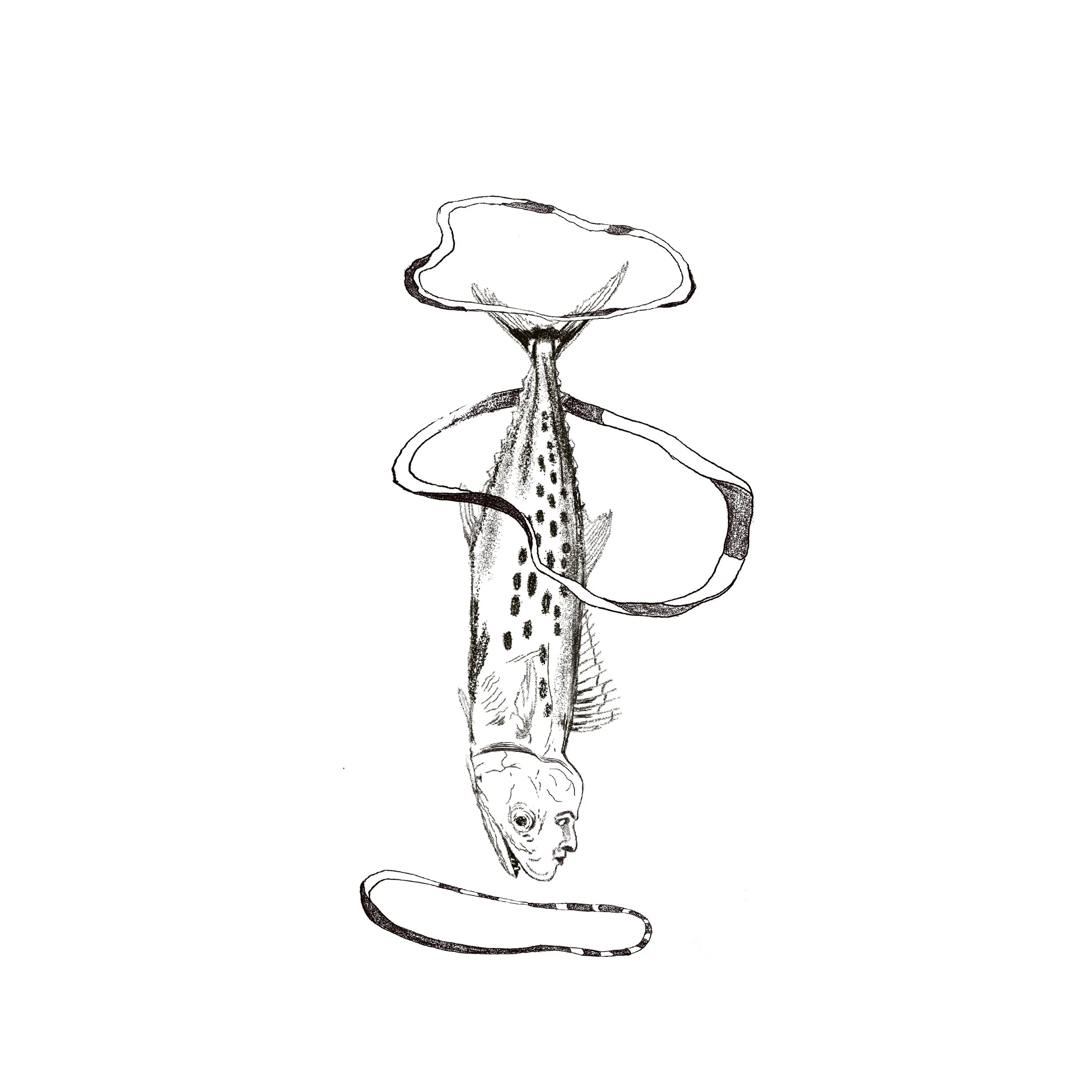 Untitled_Artwork 132.jpg