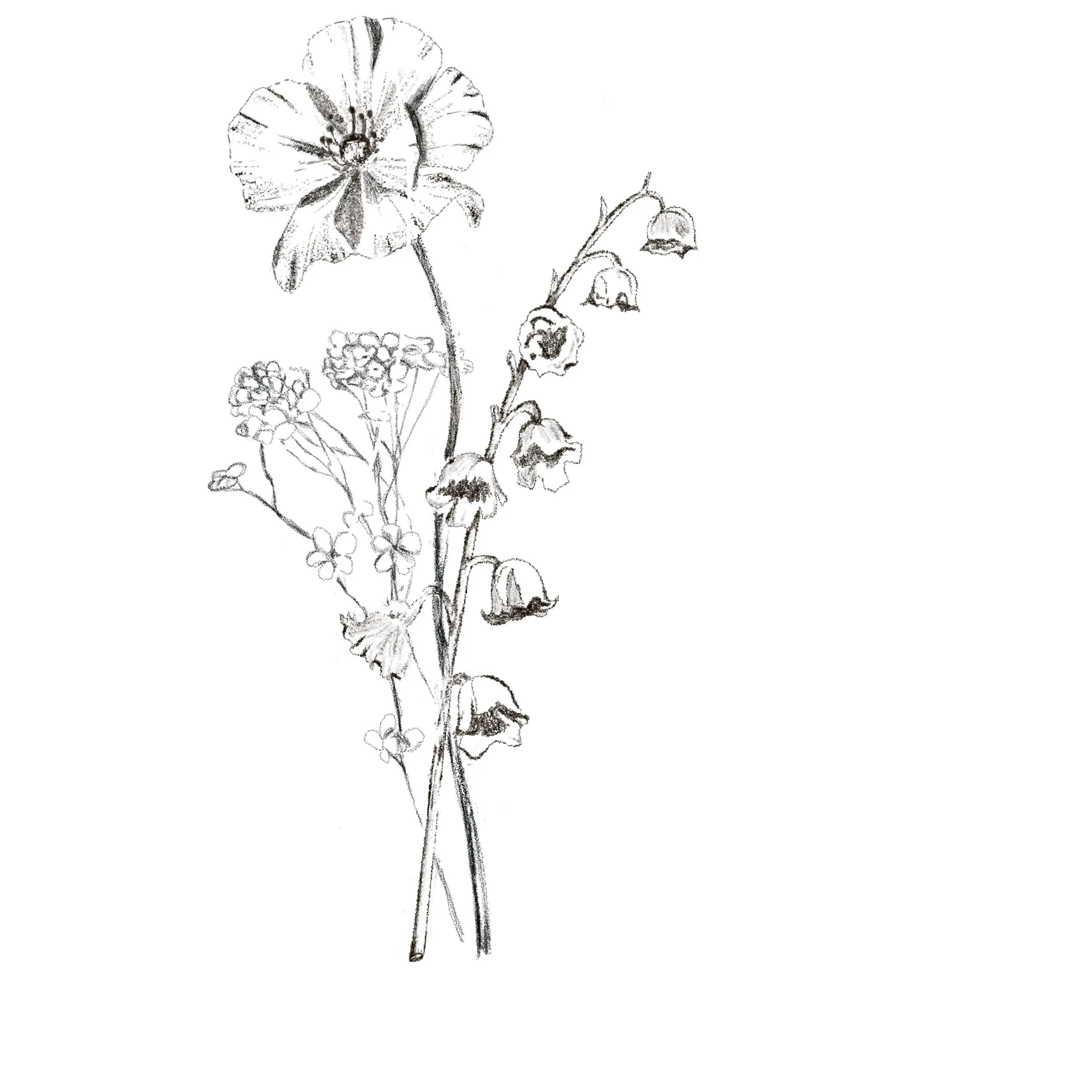 Untitled_Artwork 71.jpg