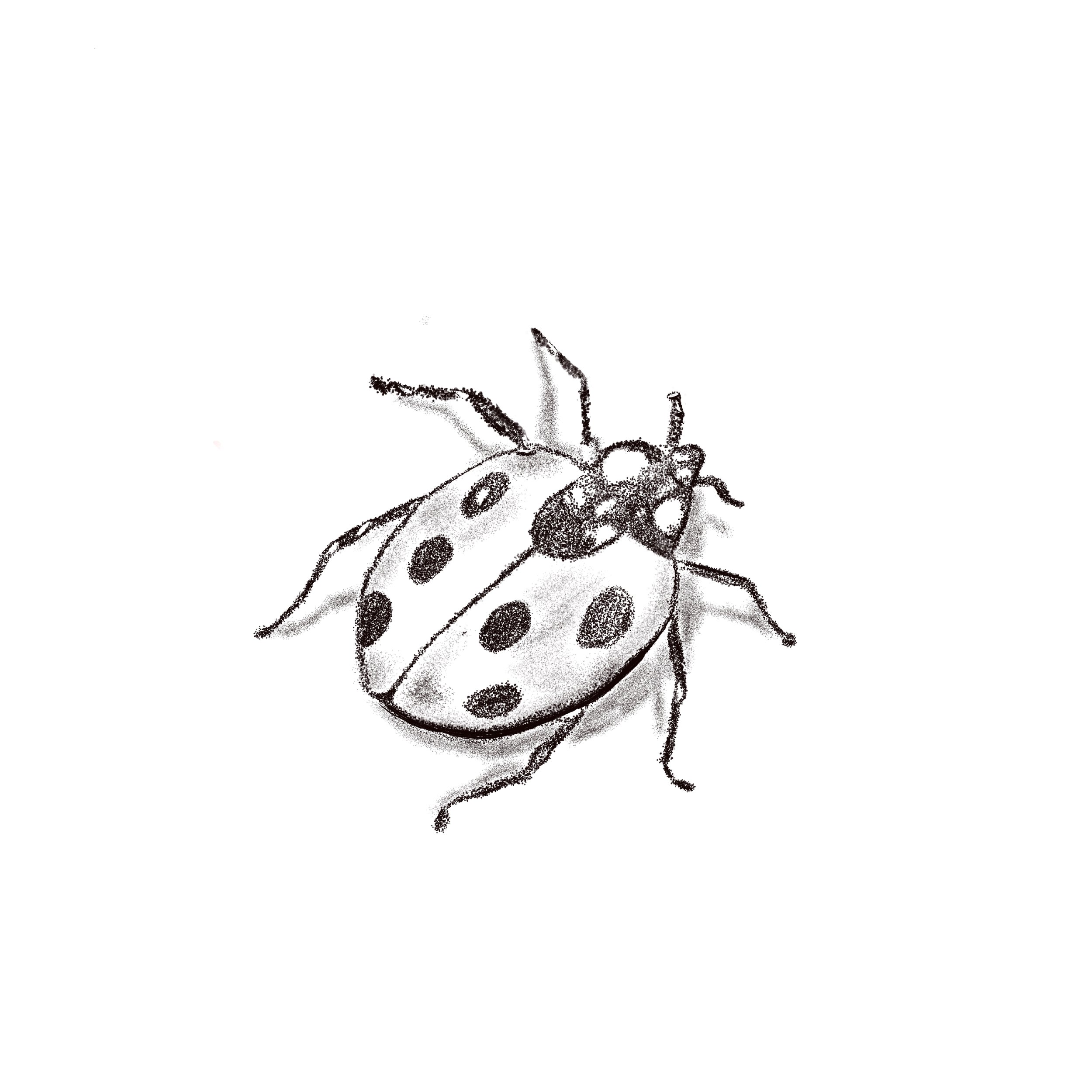 Untitled_Artwork 105.jpg