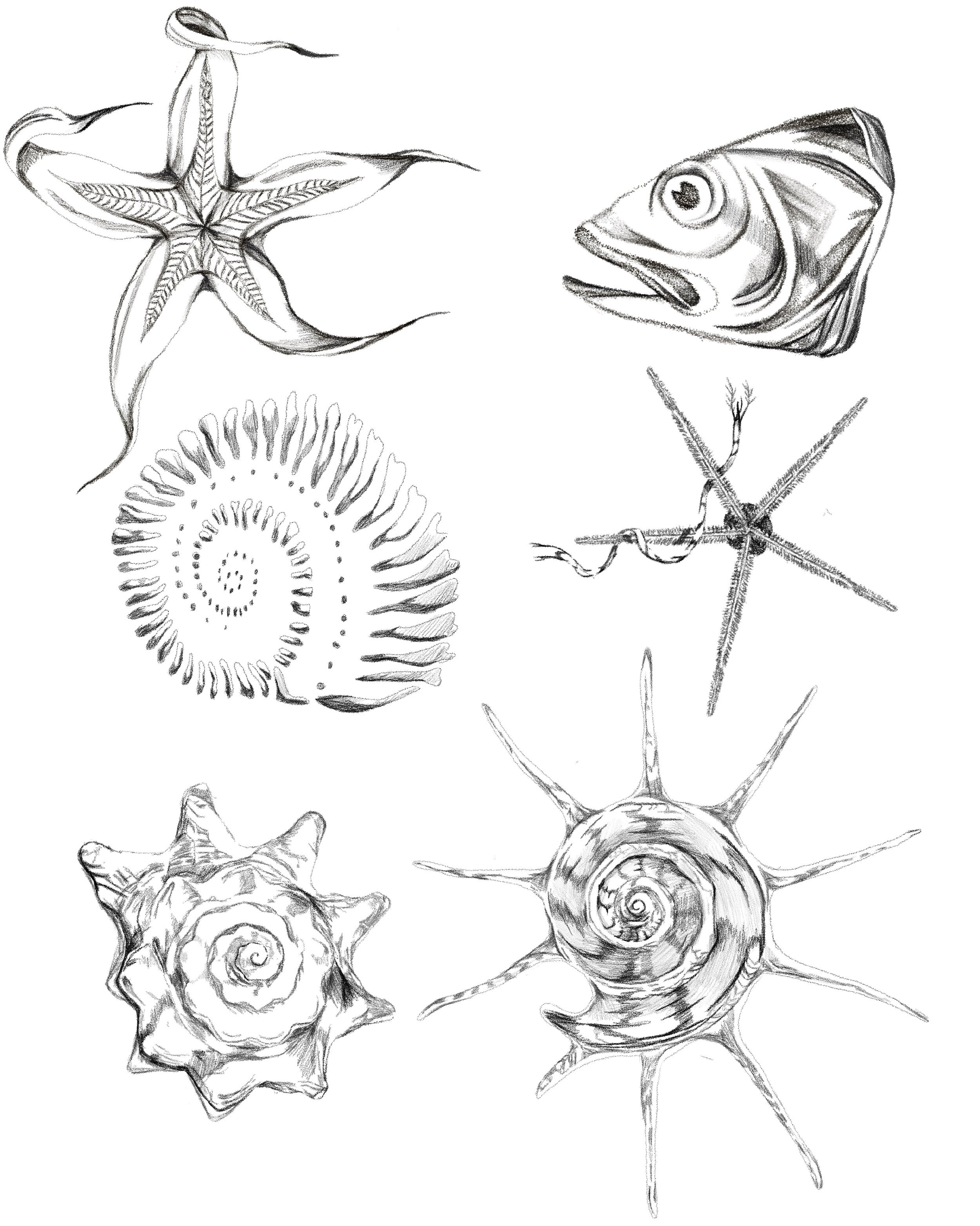 Untitled_Artwork 25.jpg