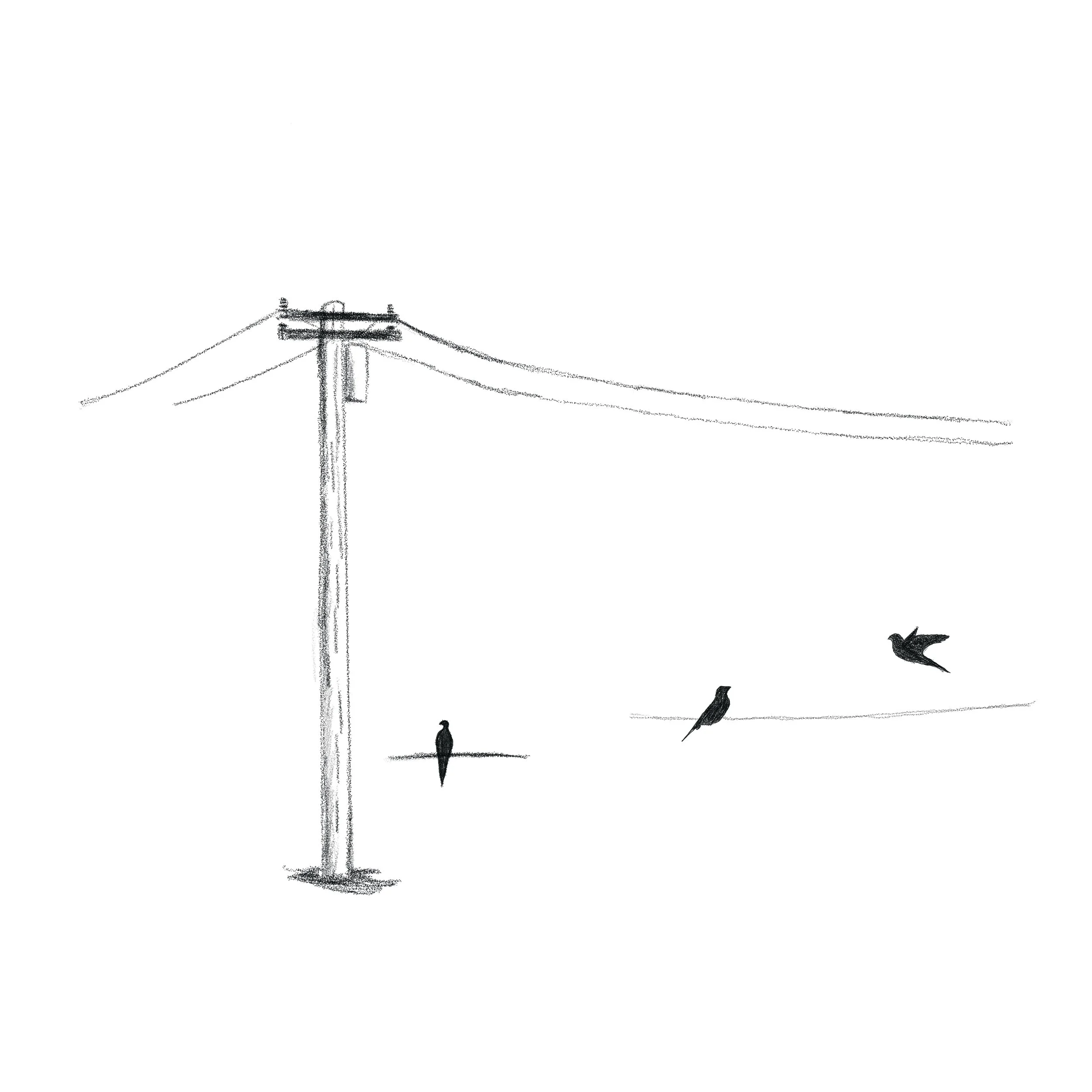 Untitled_Artwork 74.jpg