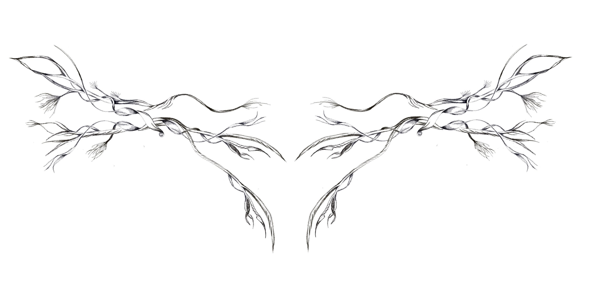 Untitled_Artwork 19.jpg